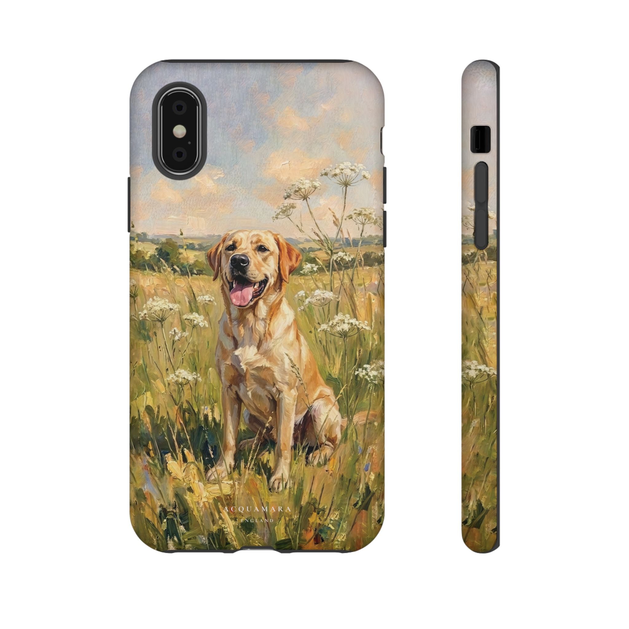 The Labrador (Yellow)
