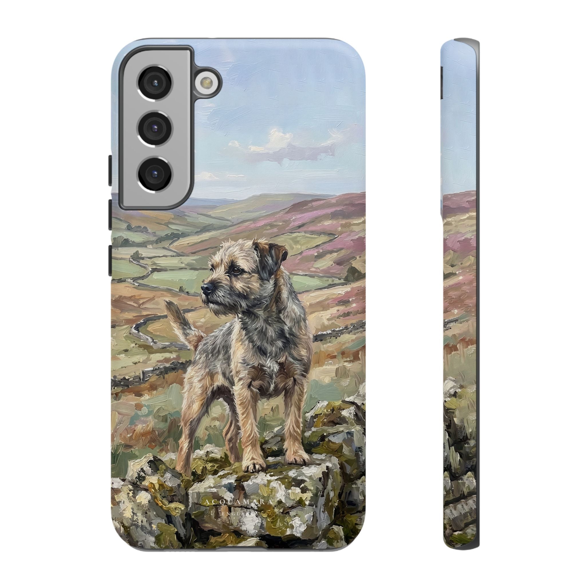 The Border Terrier (Grizzle and Tan)