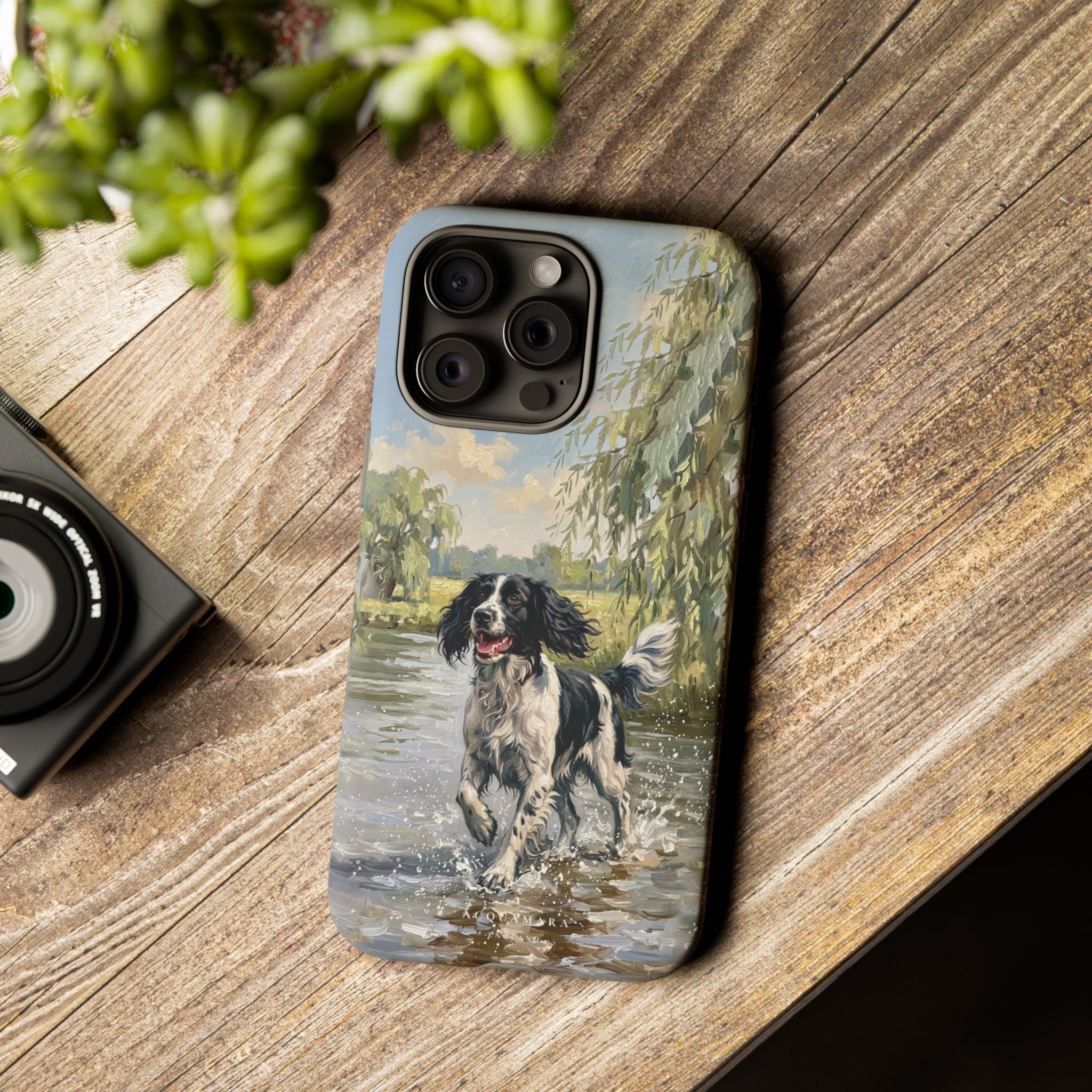 The Springer Spaniel (Black and White)