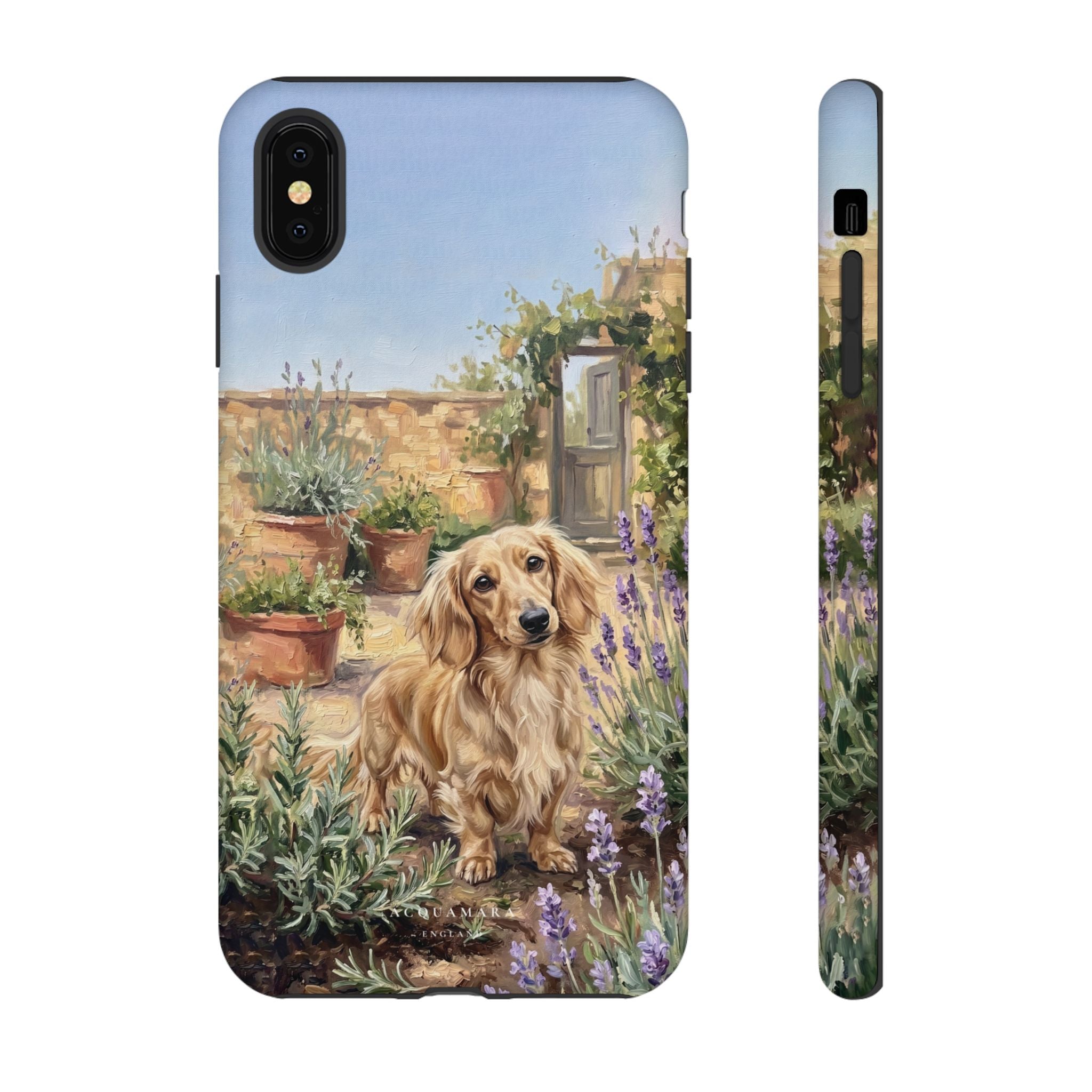 The Dachshund (Blonde long hair)