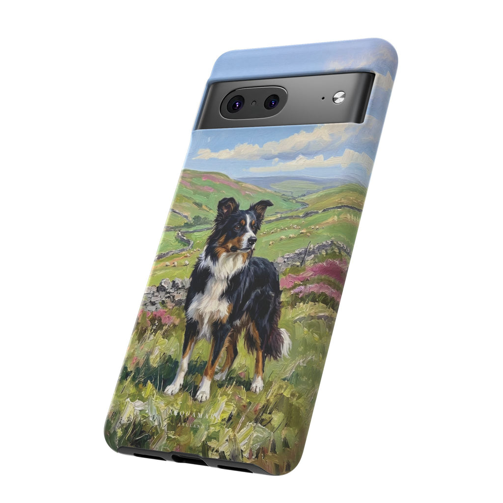 The Border Collie