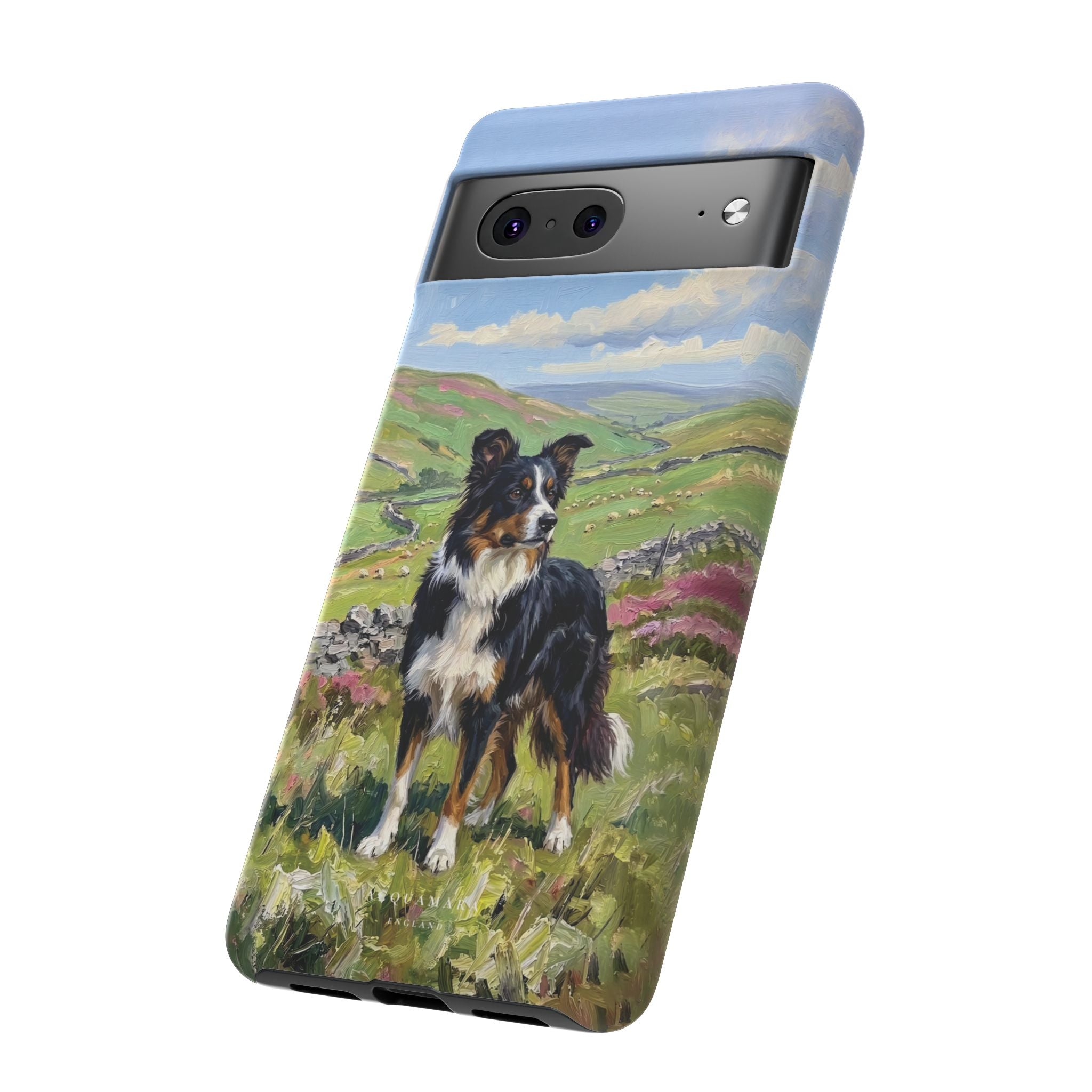 The Border Collie