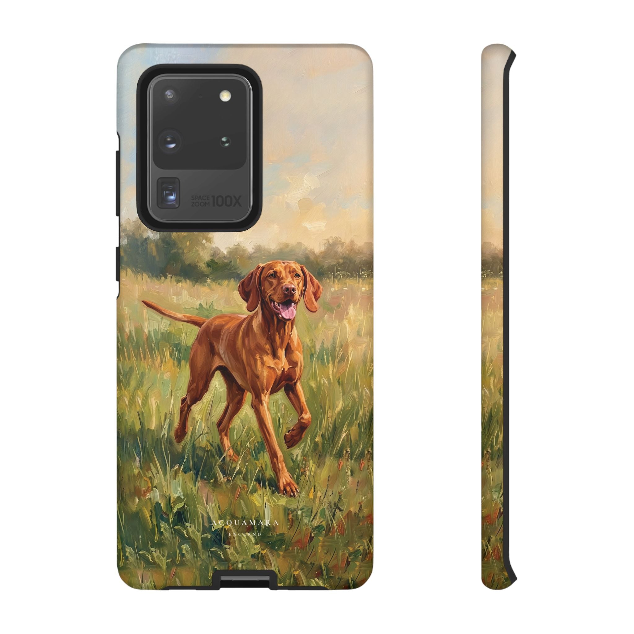 The Hungarian Vizsla