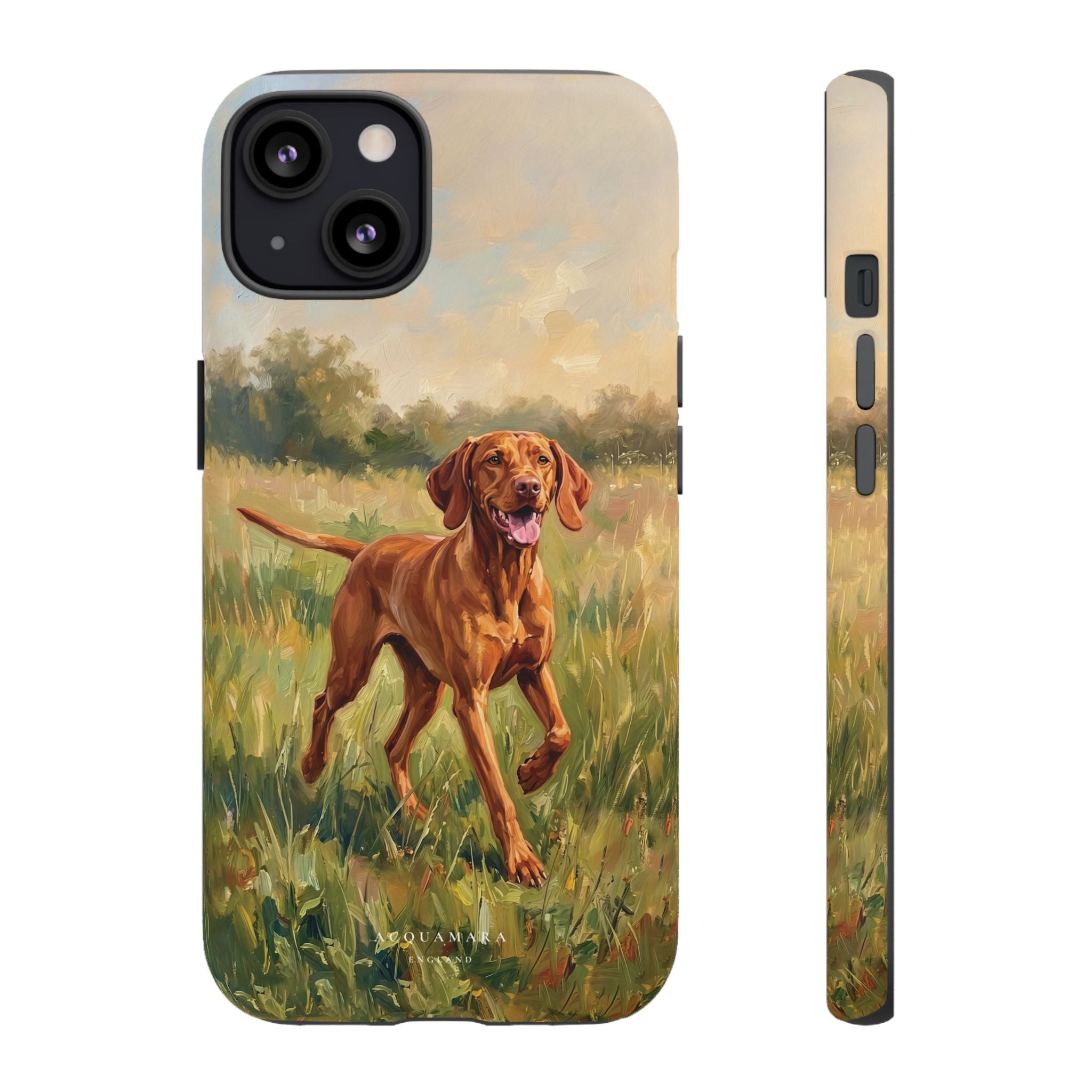 The Hungarian Vizsla