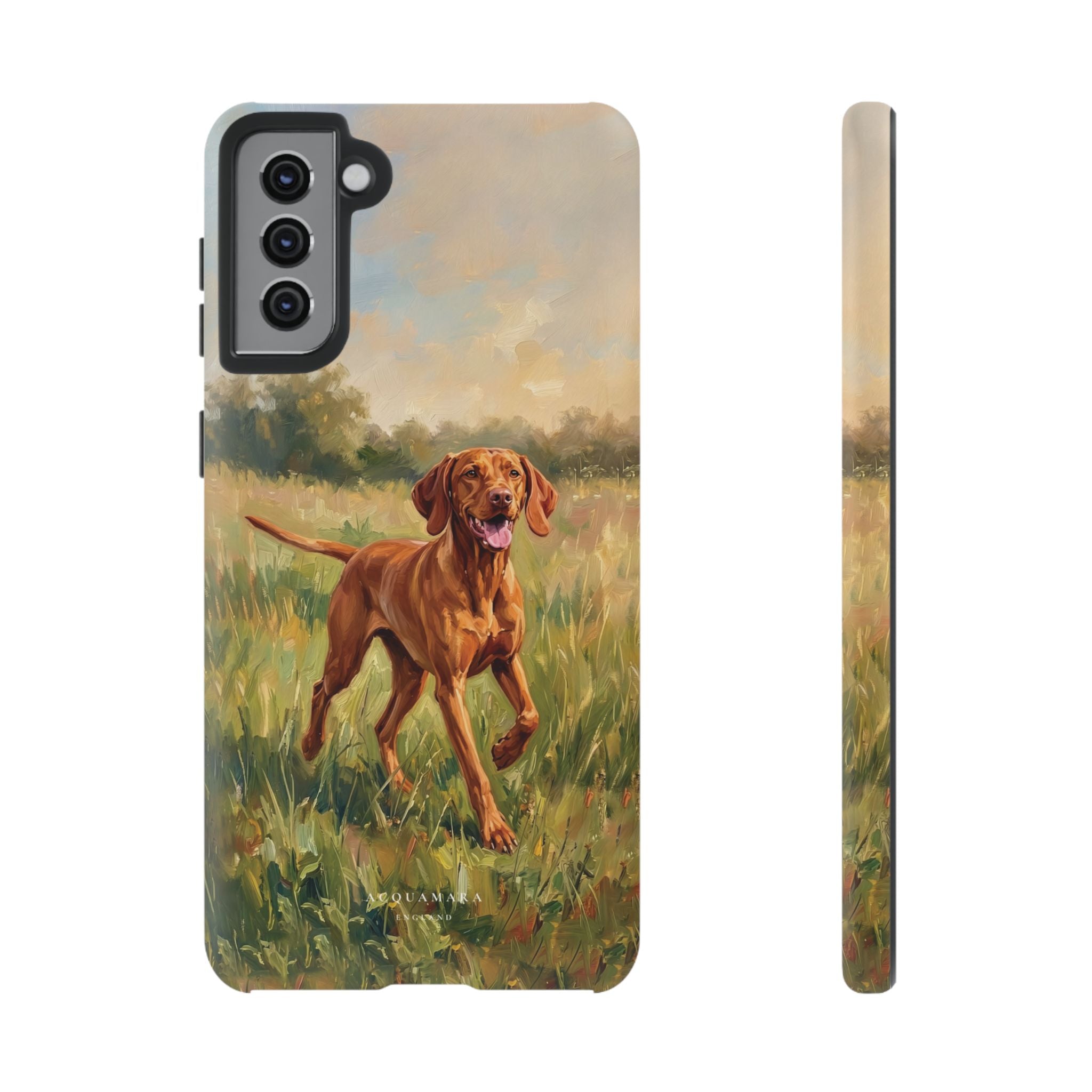 The Hungarian Vizsla