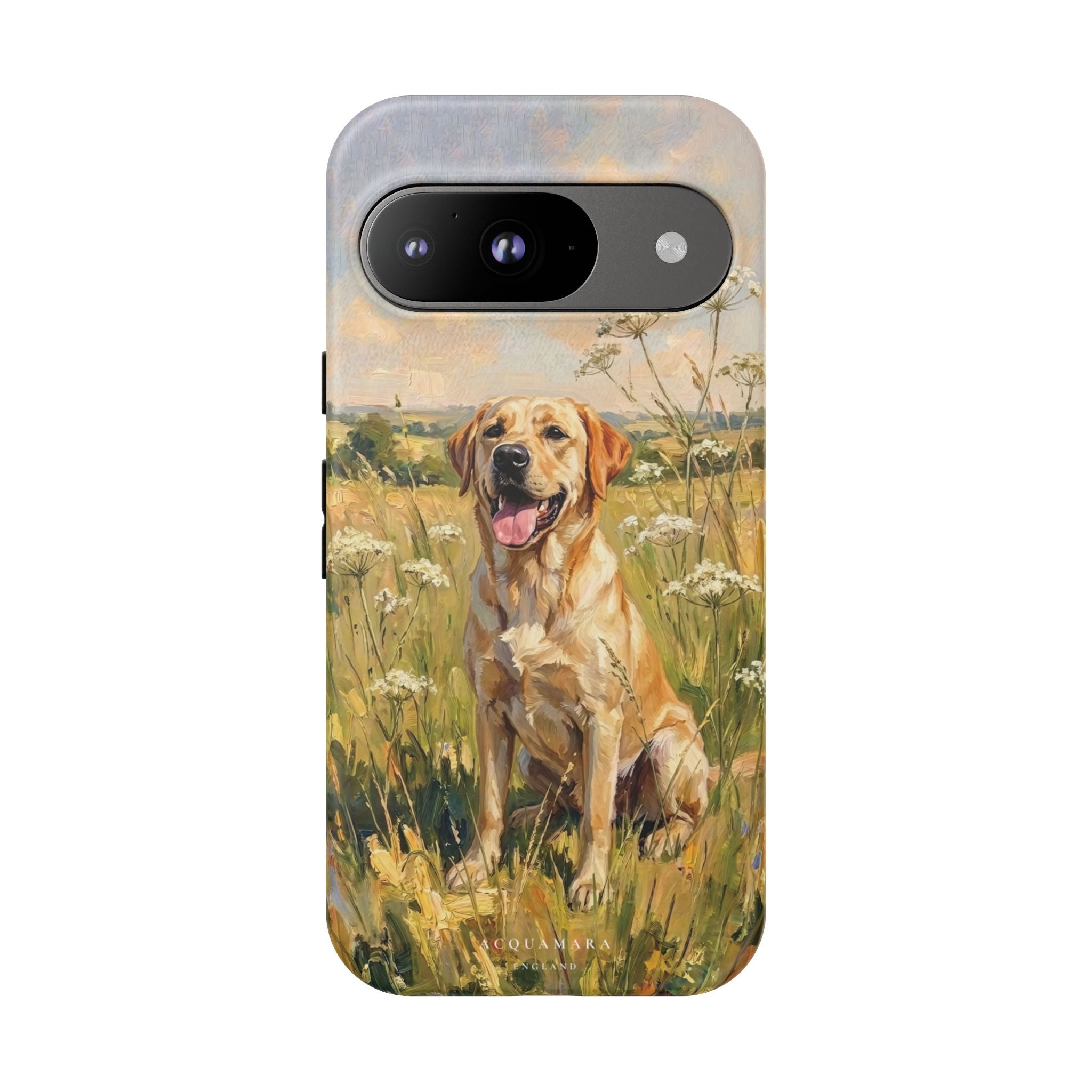 The Labrador (Yellow)