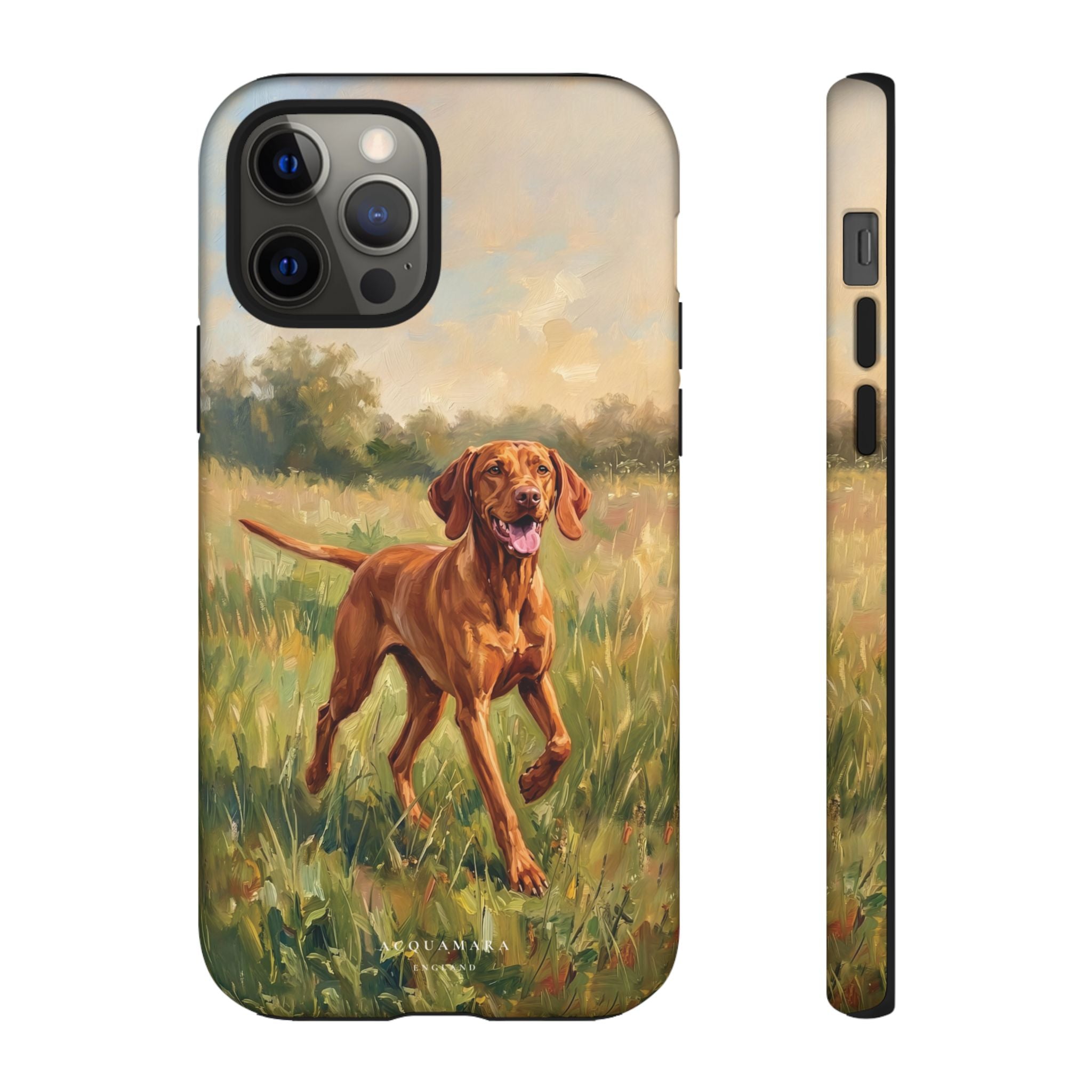 The Hungarian Vizsla