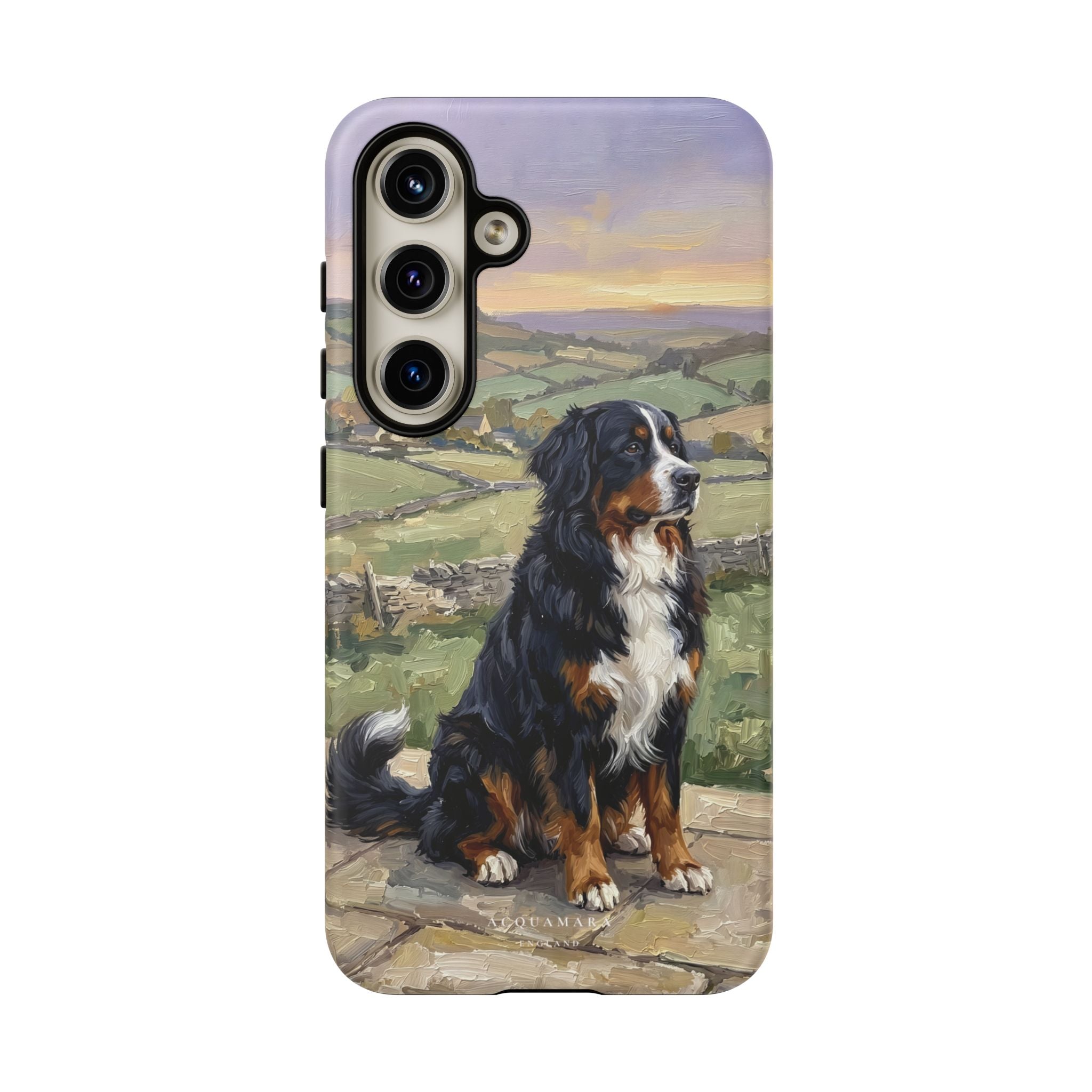 The Bernese Mountain Dog