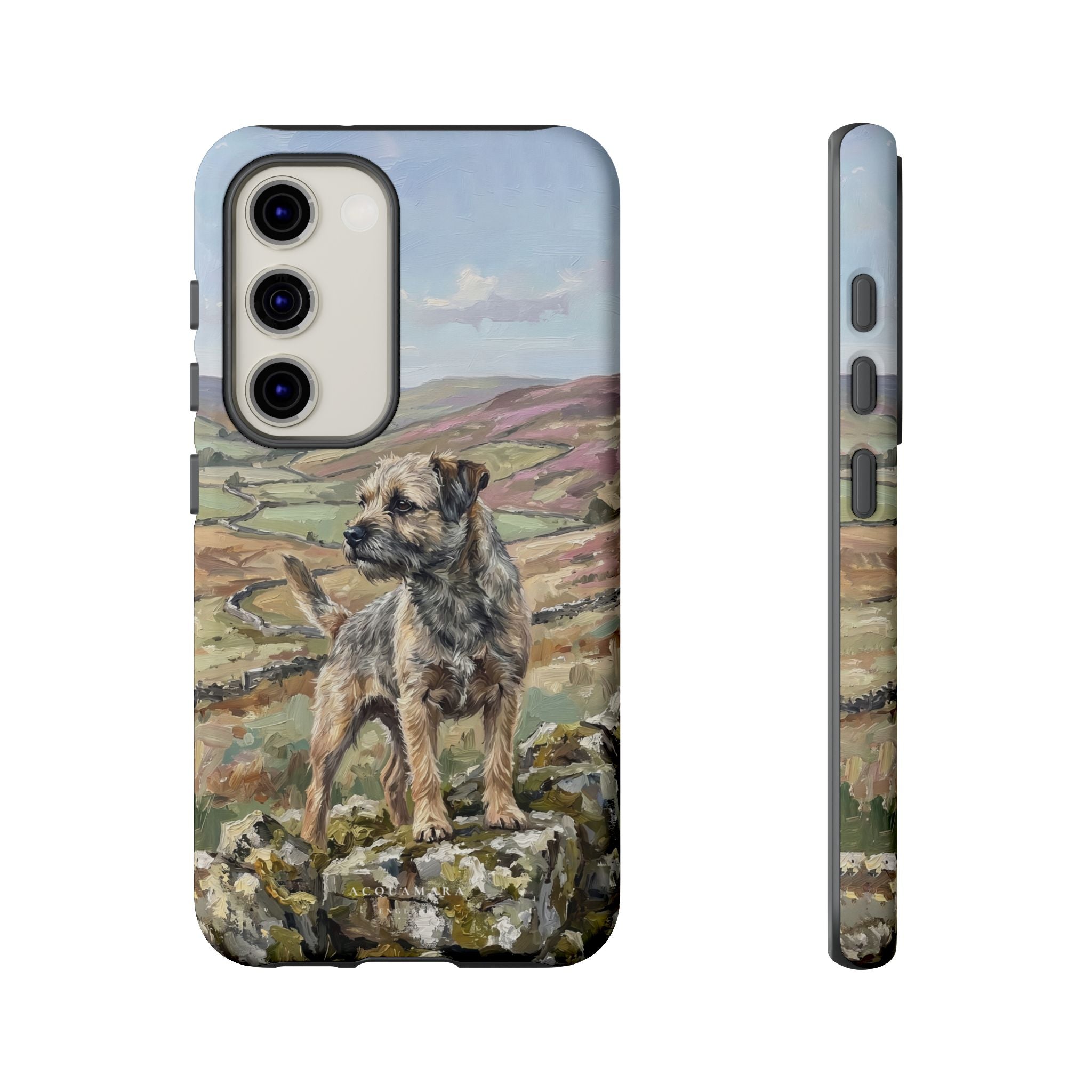 The Border Terrier (Grizzle and Tan)