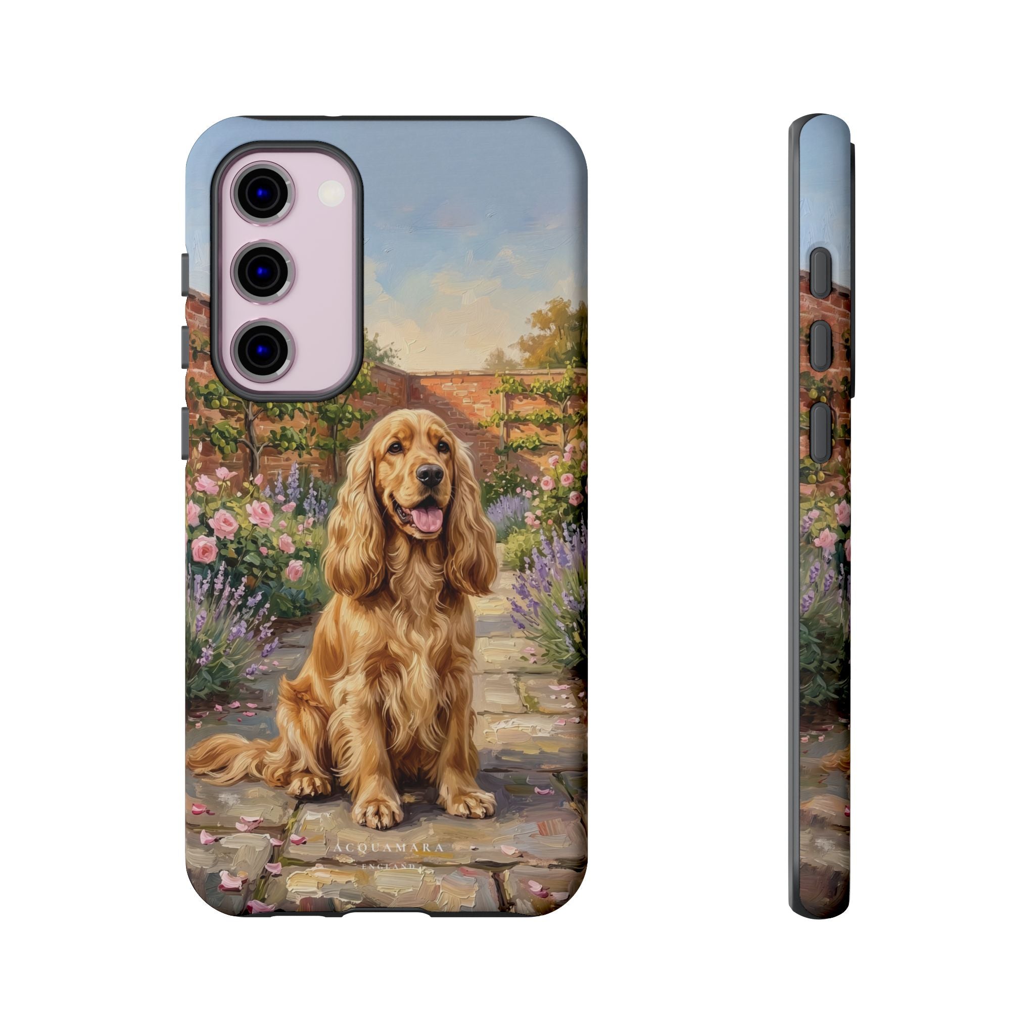 The Show Cocker (Golden)