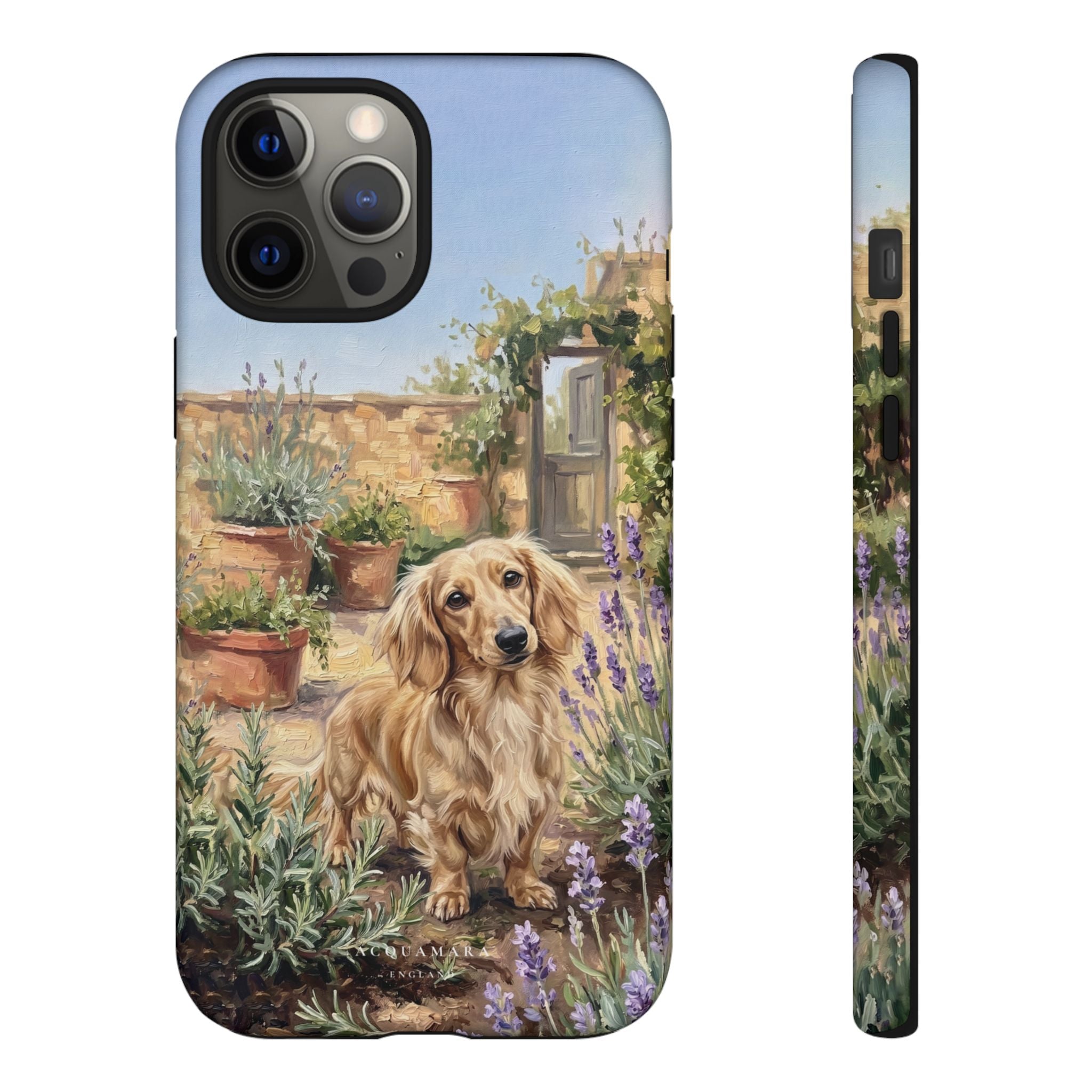 The Dachshund (Blonde long hair)