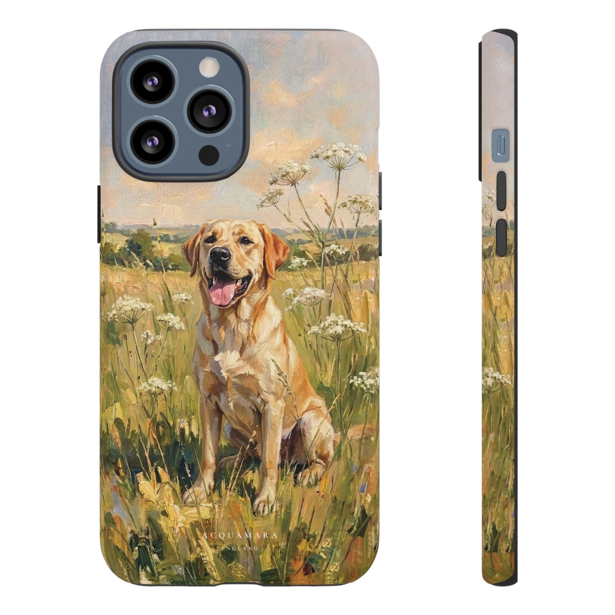 The Labrador (Yellow)
