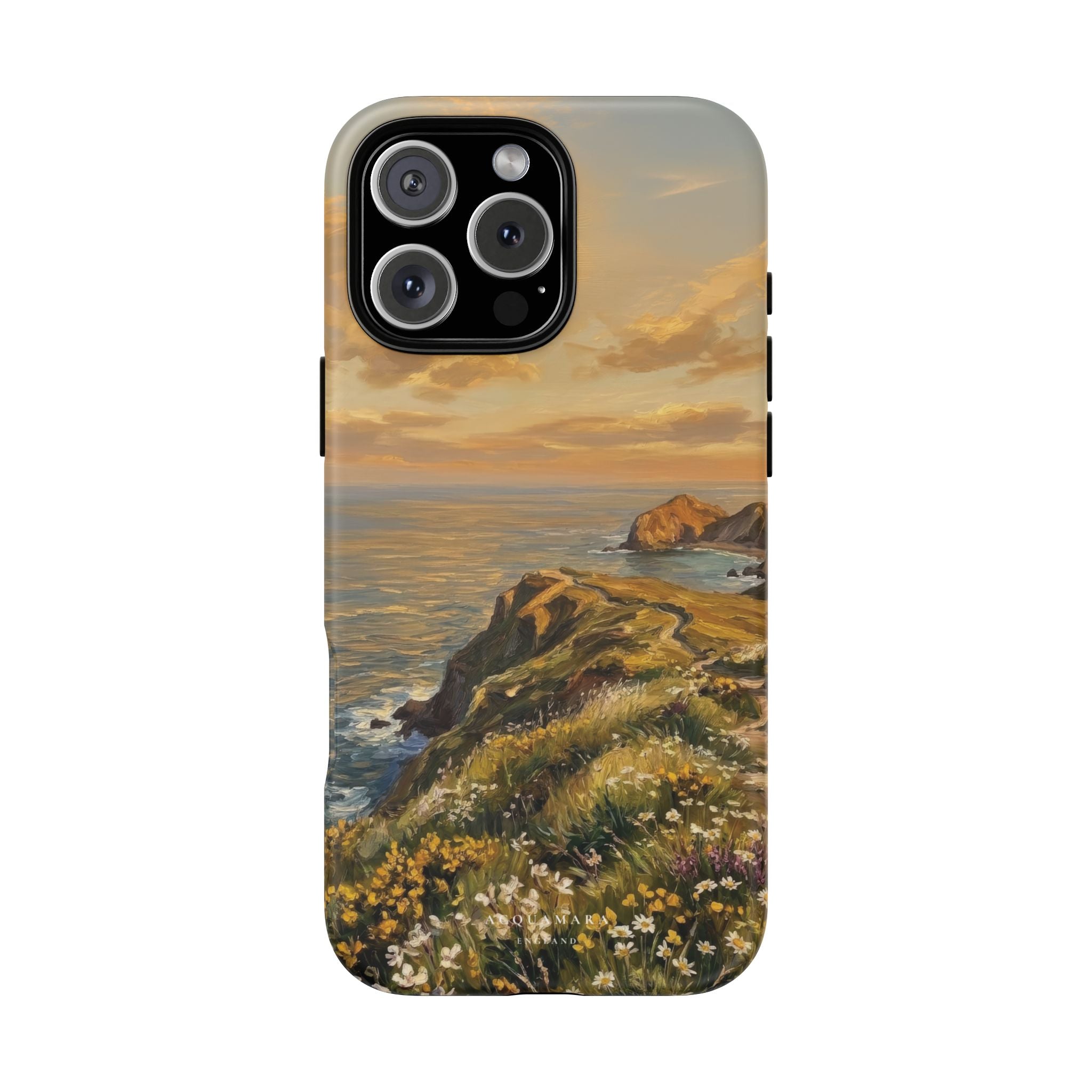 The Cliff Walk
