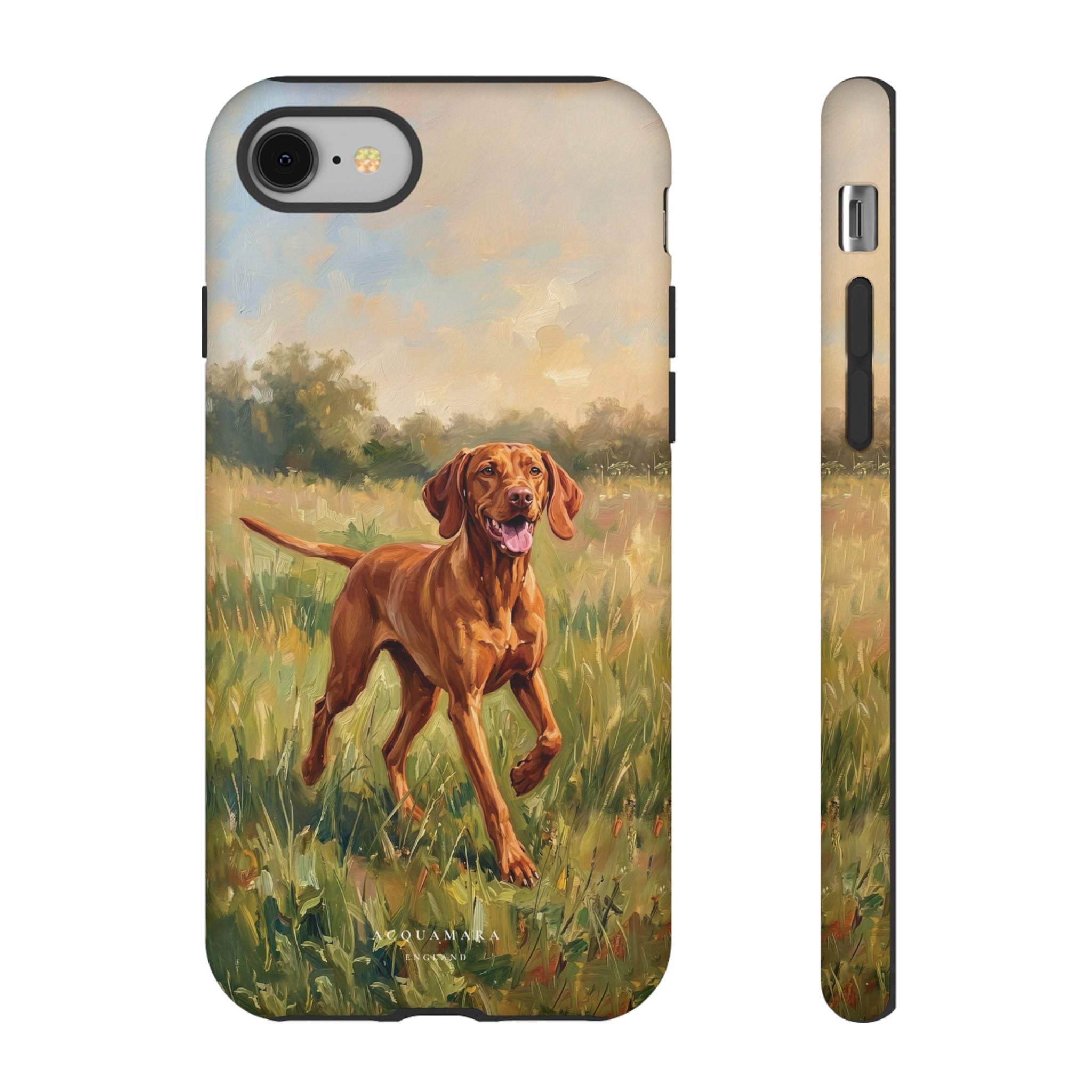 The Hungarian Vizsla