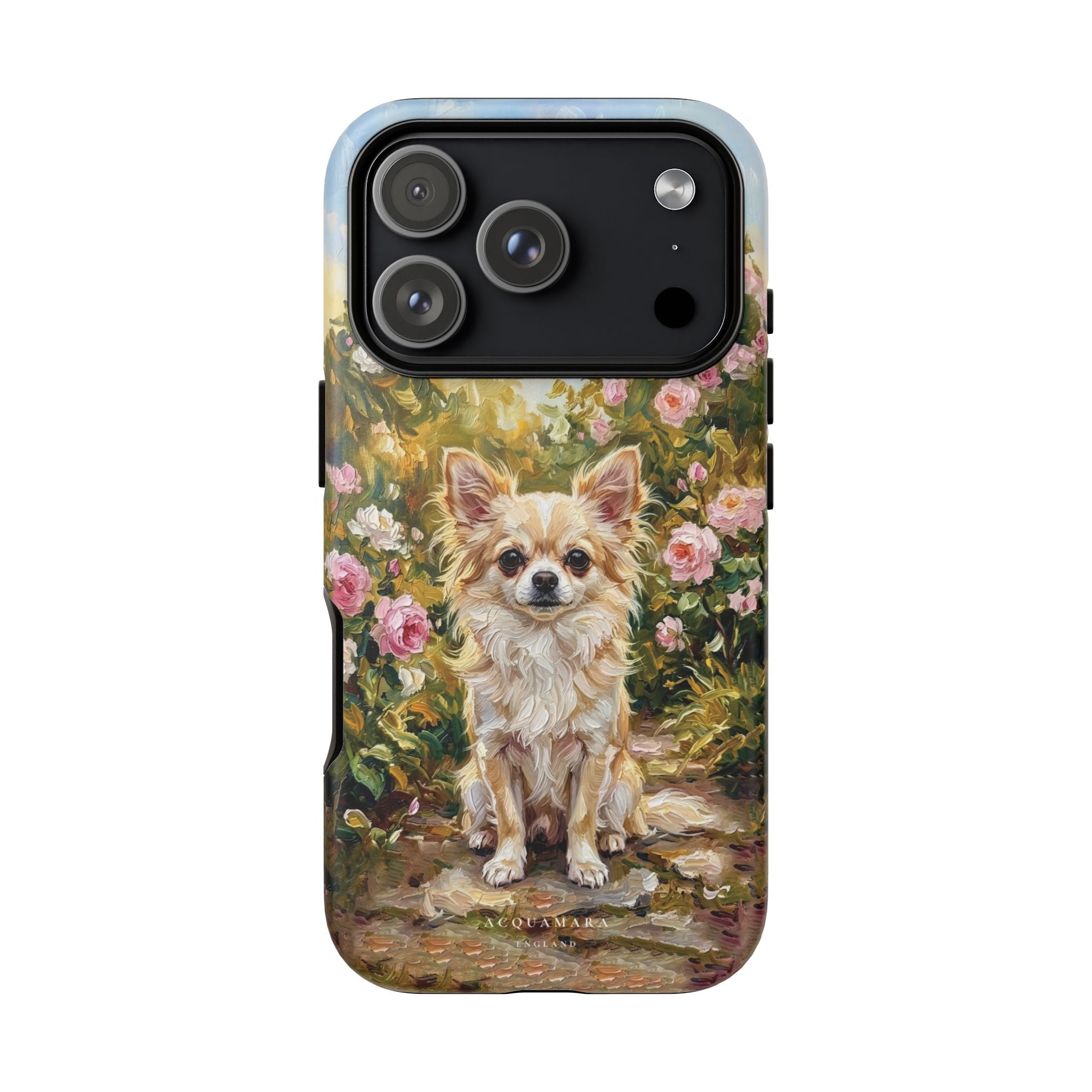 The Chihuahua - Longcoat