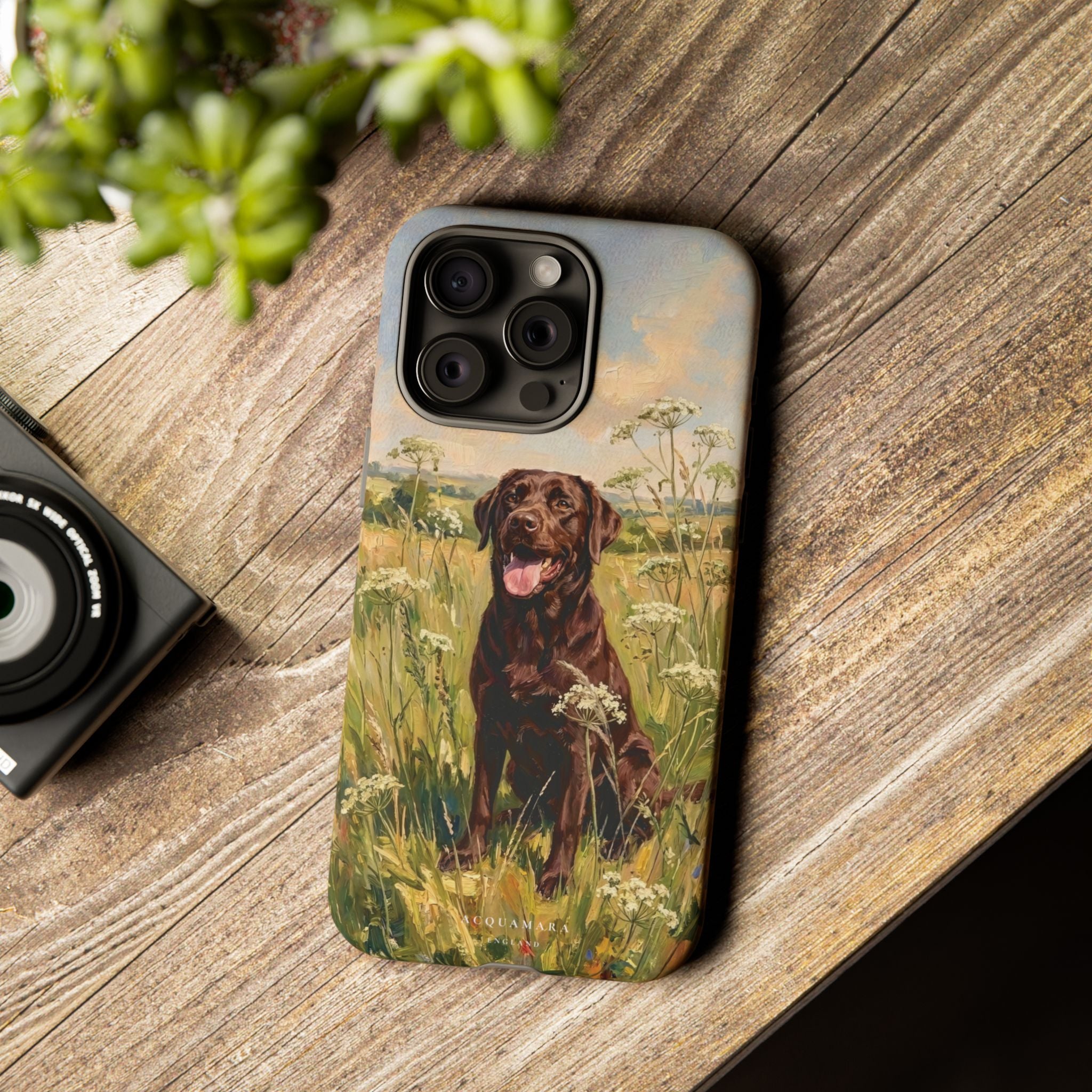 The Labrador (Chocolate)
