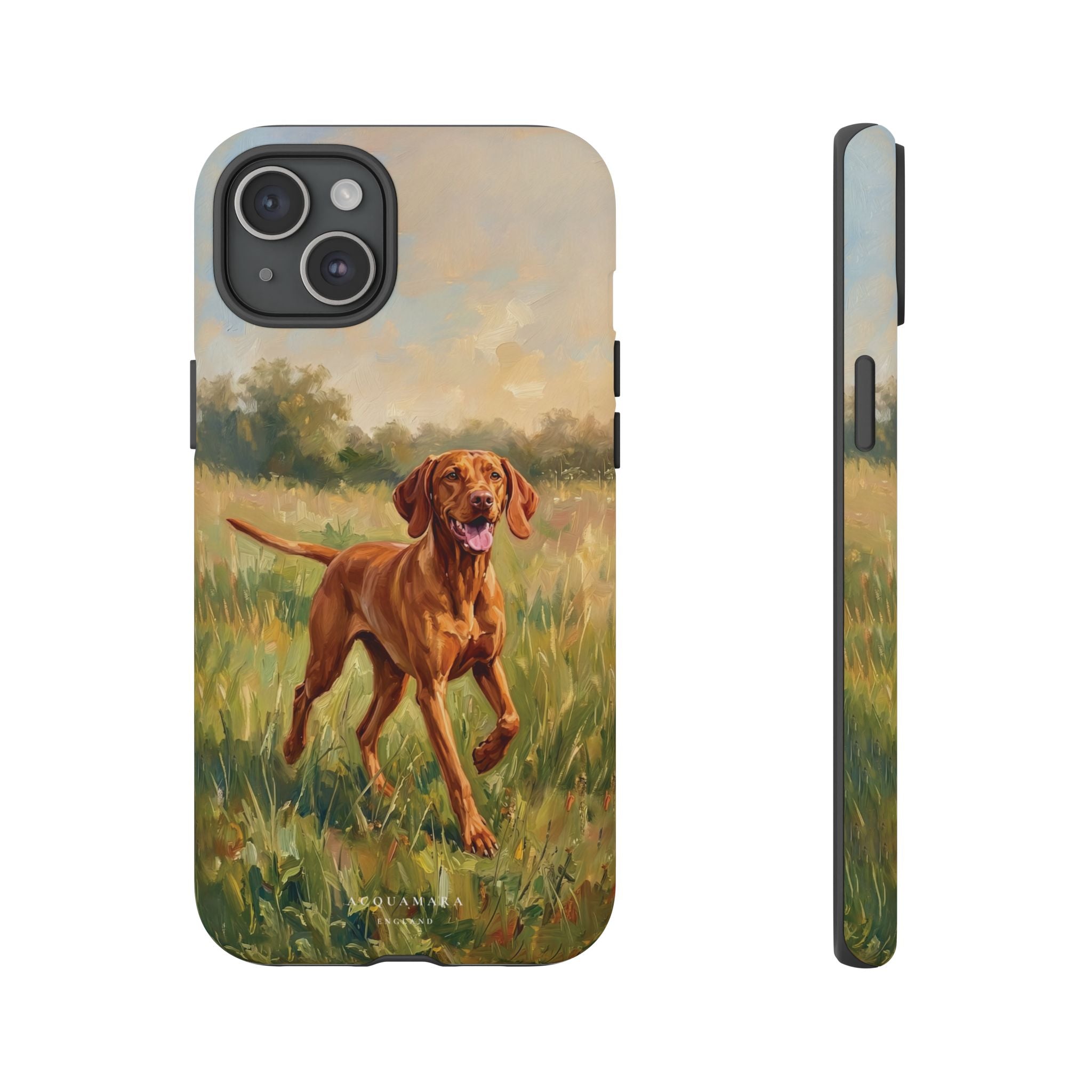 The Hungarian Vizsla