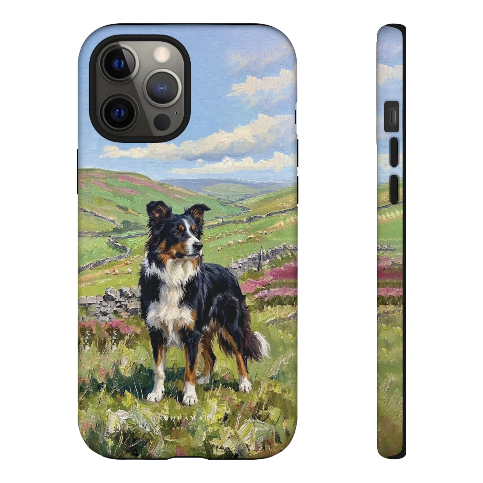 The Border Collie