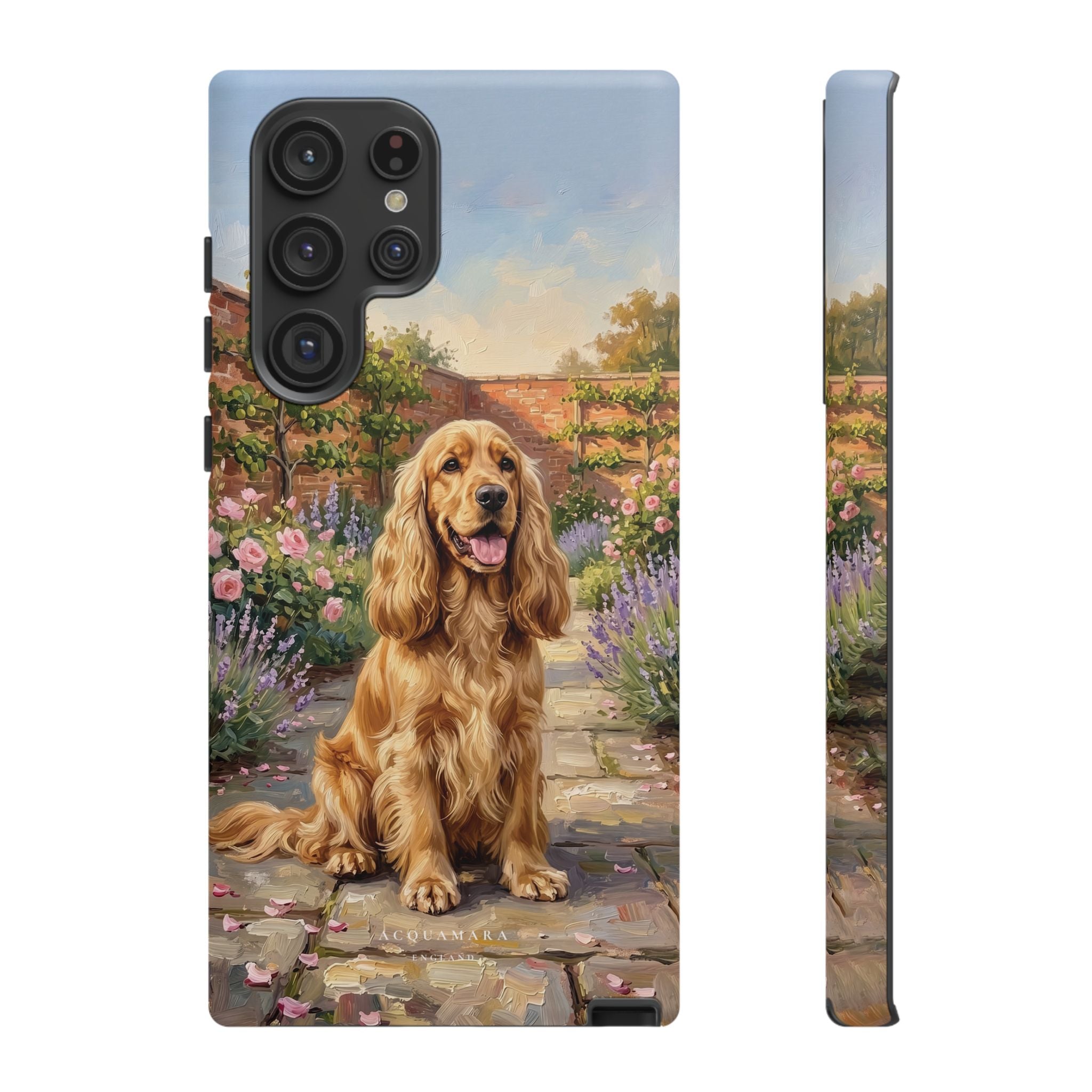 The Show Cocker (Golden)