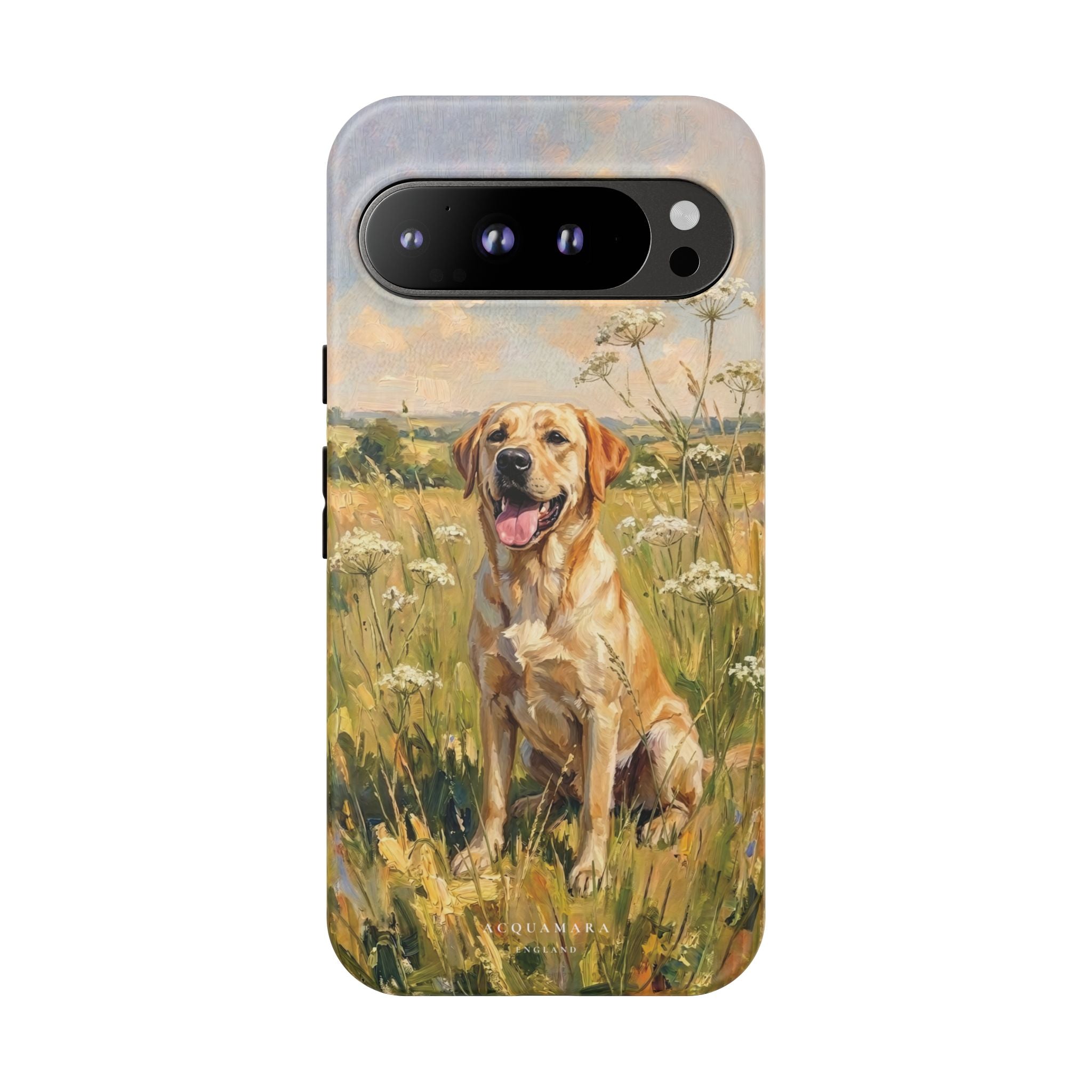 The Labrador (Yellow)