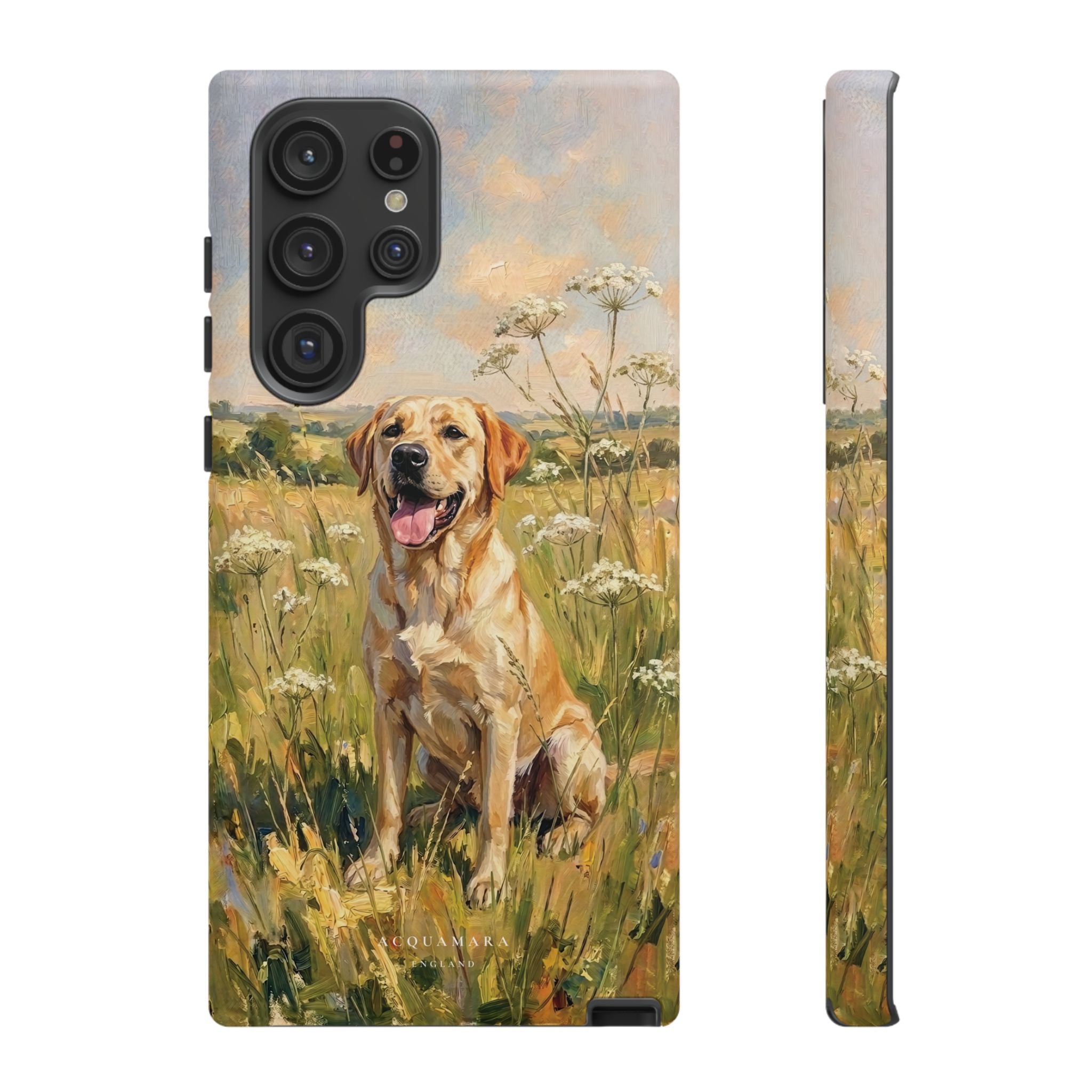 The Labrador (Yellow)