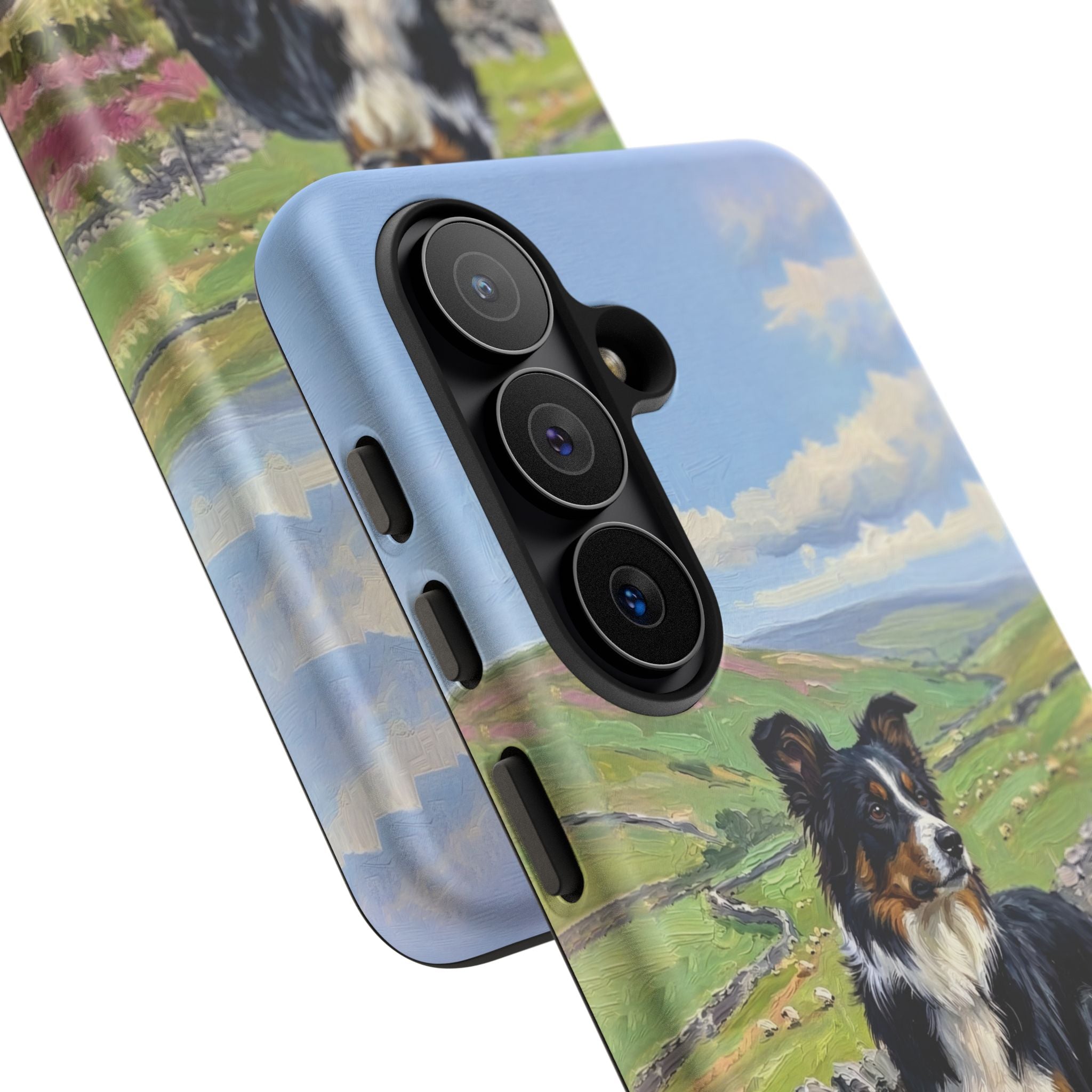 The Border Collie