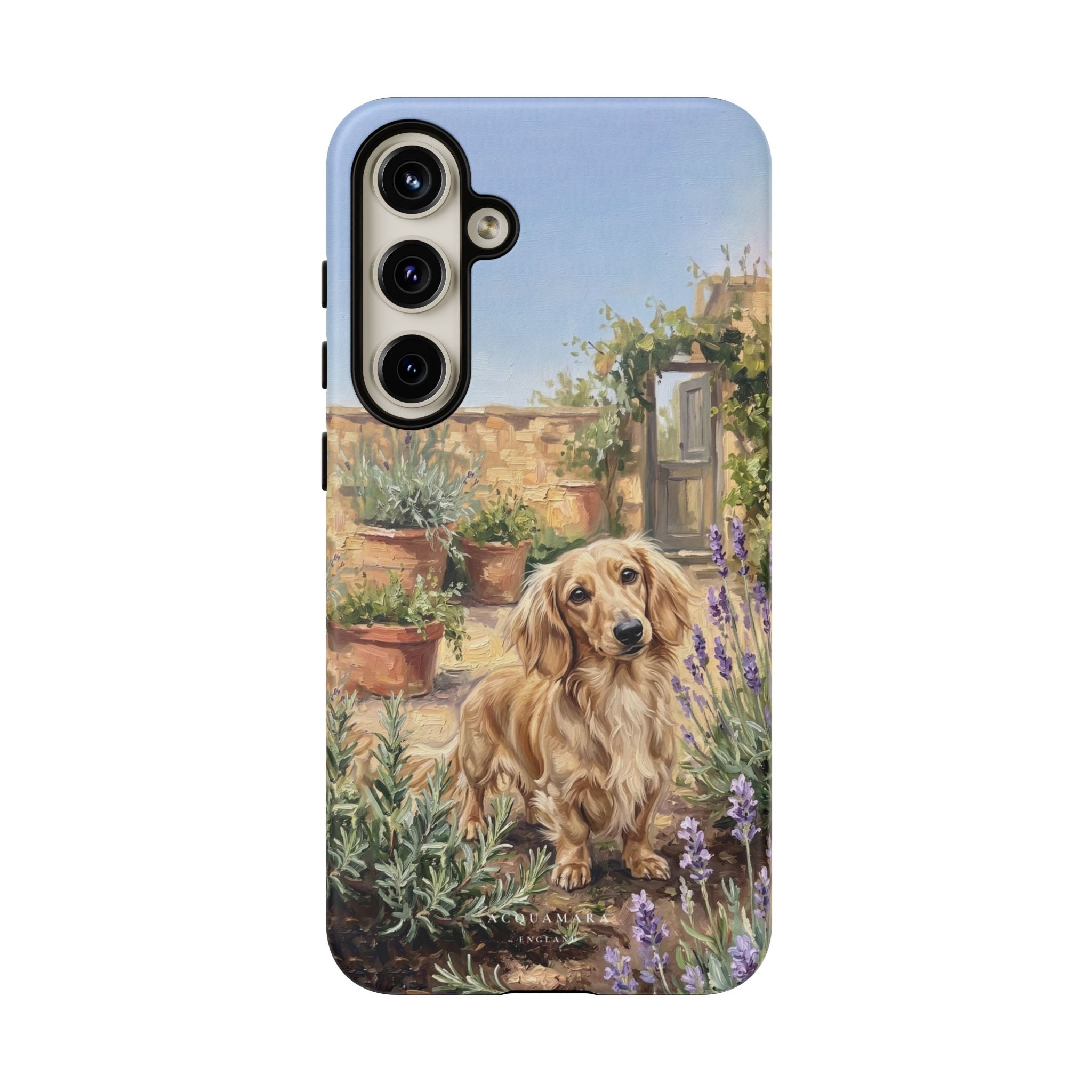The Dachshund (Blonde long hair)