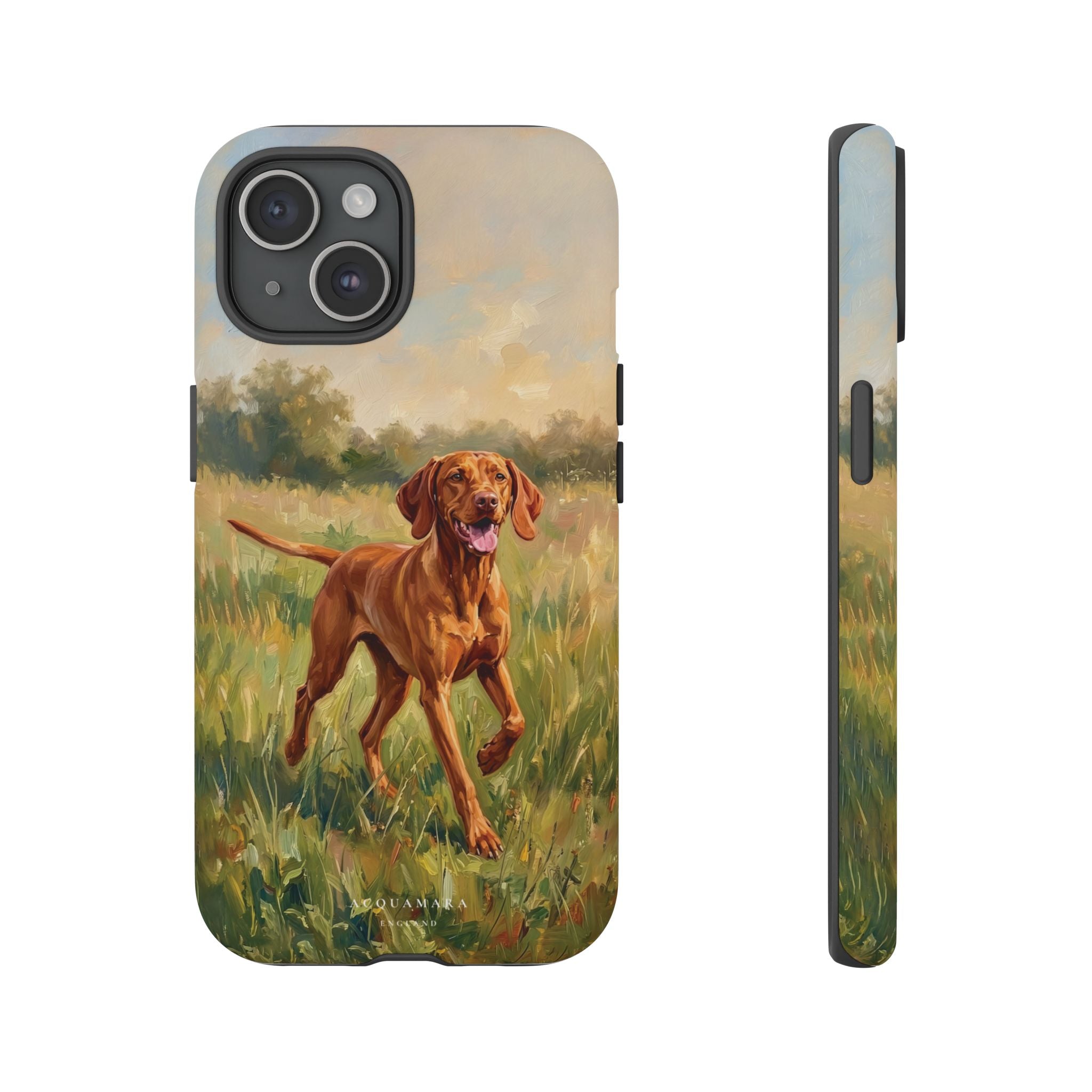 The Hungarian Vizsla