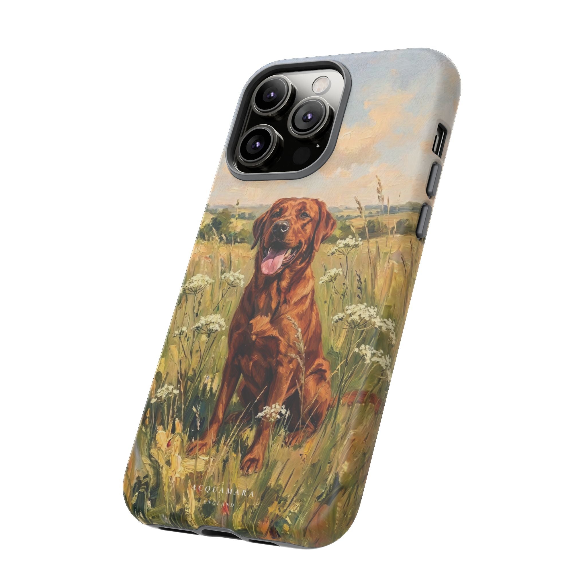 The Labrador (Red)