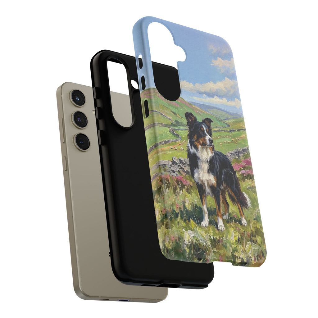 The Border Collie