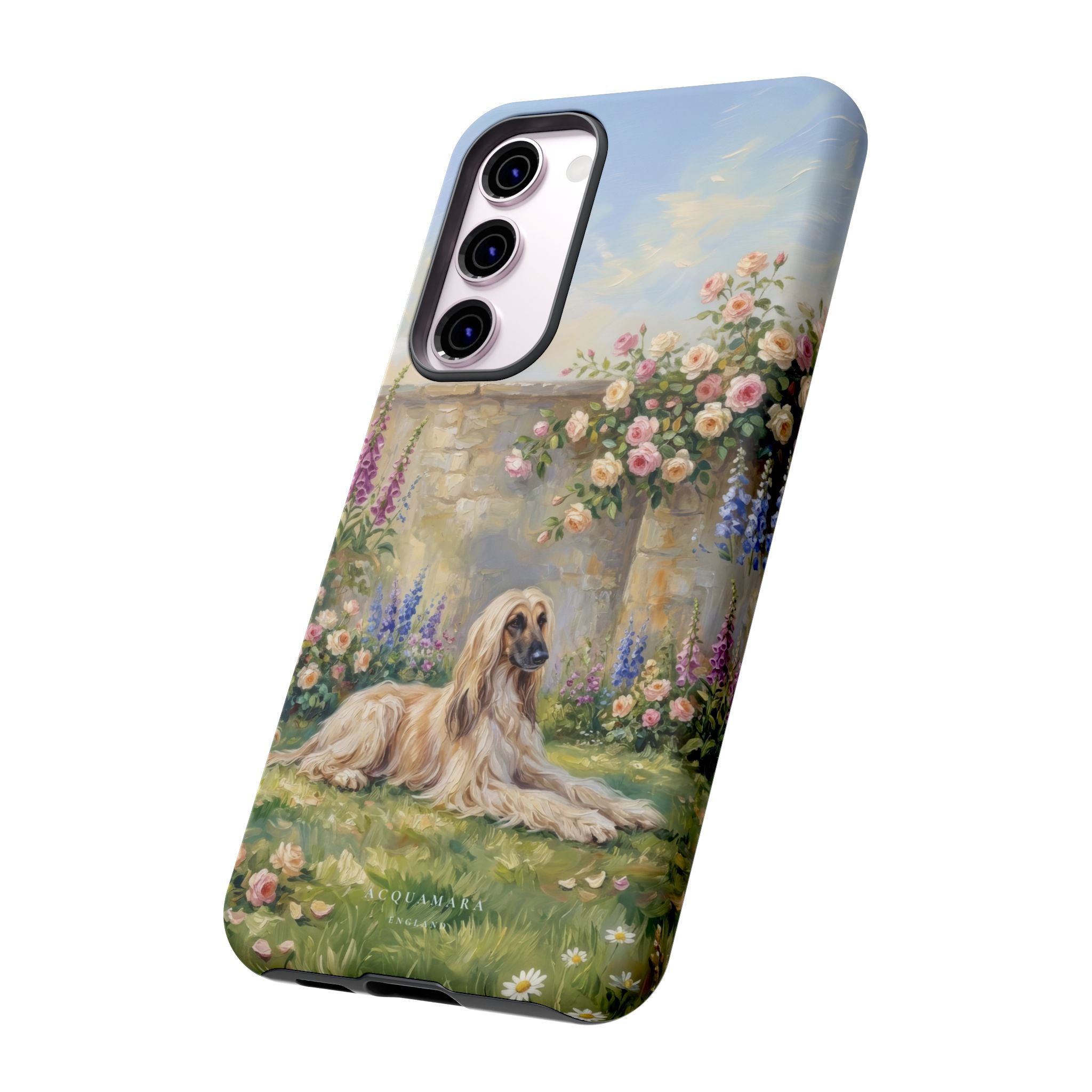 The Afghan Hound (Standard)