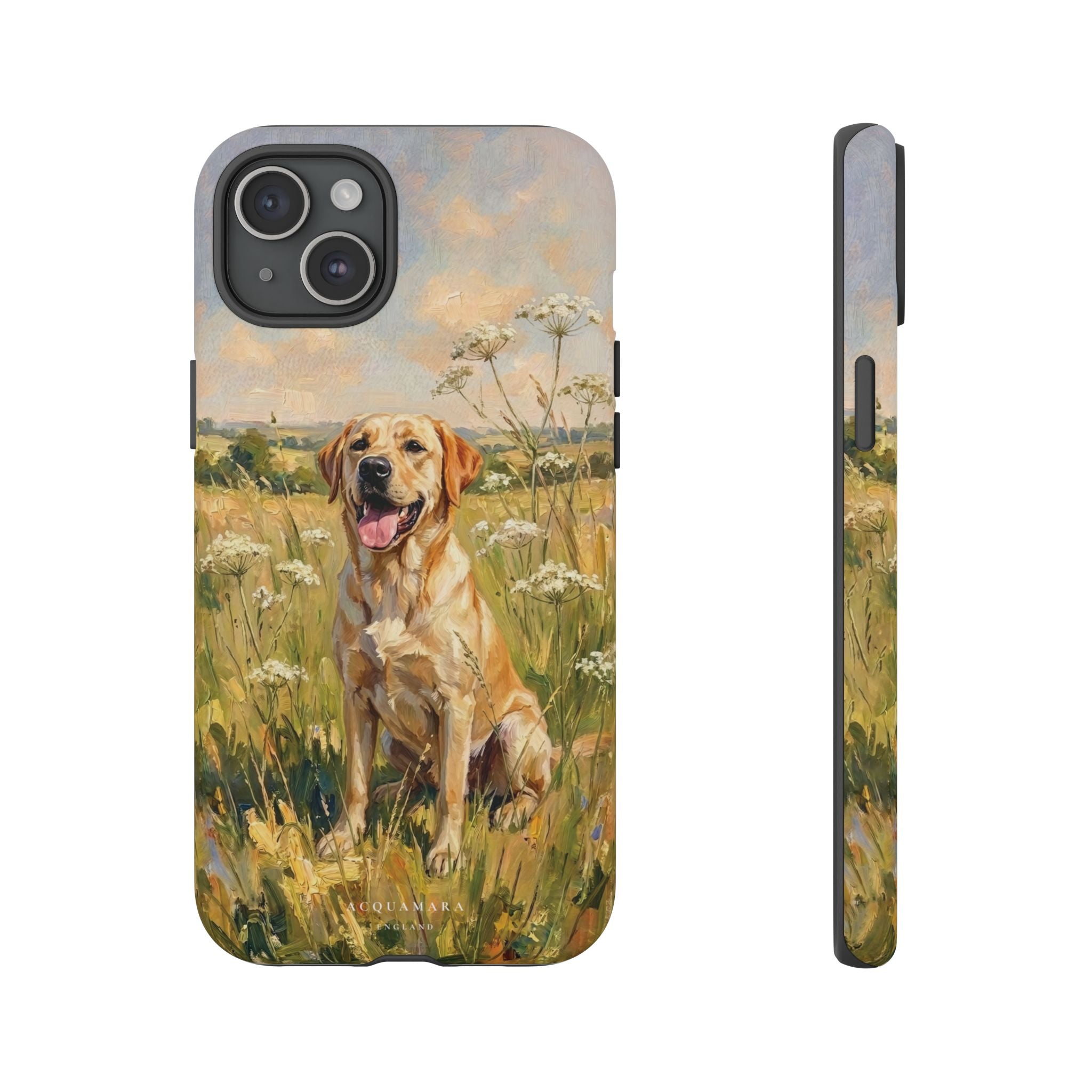 The Labrador (Yellow)