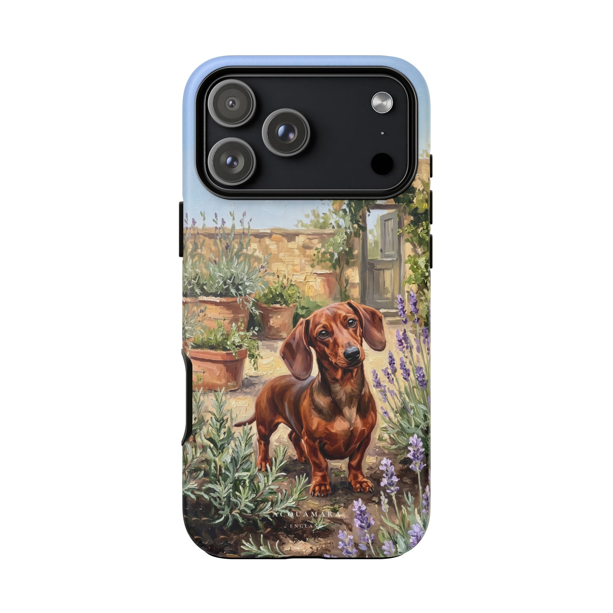 The Dachshund (Red)