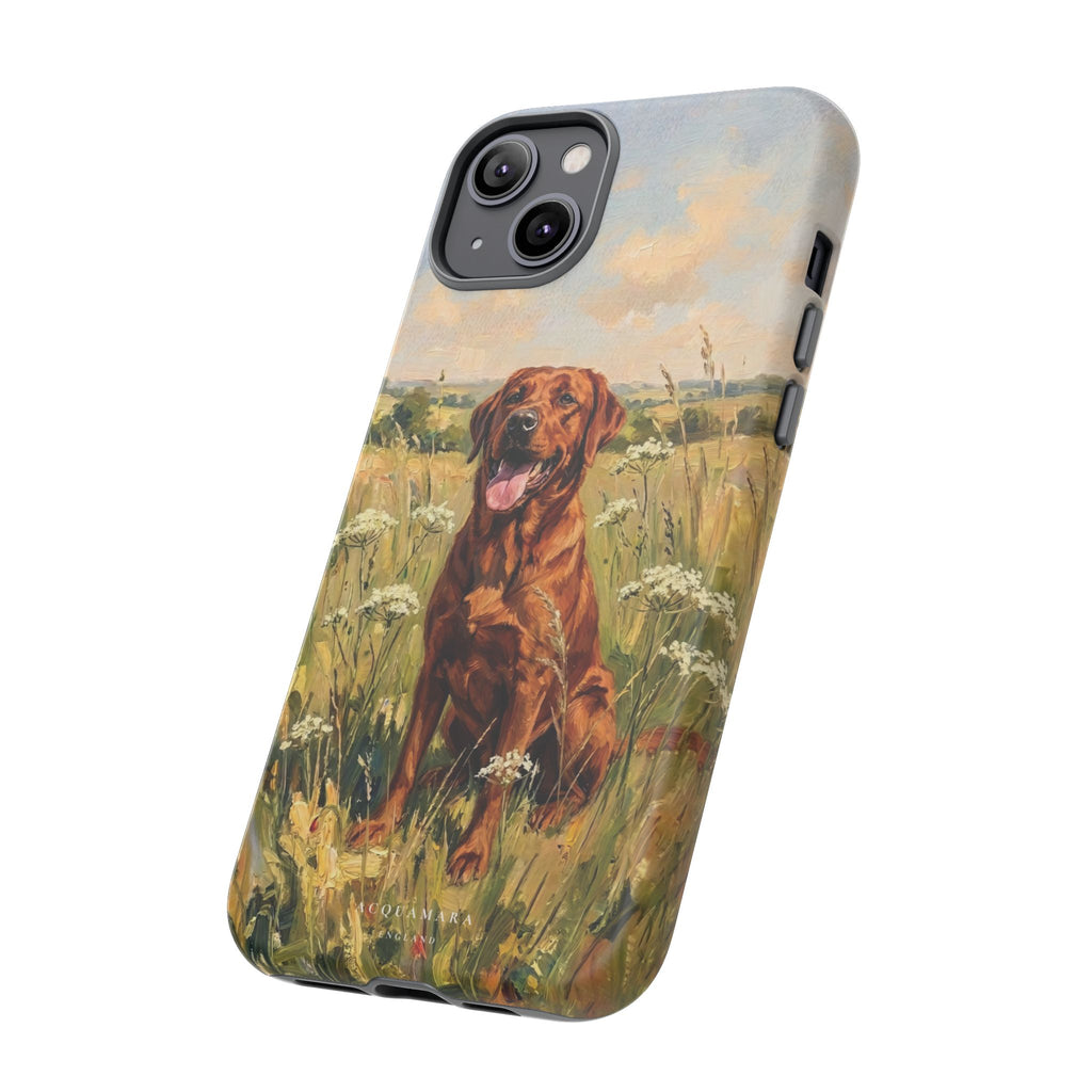 The Labrador (Red)