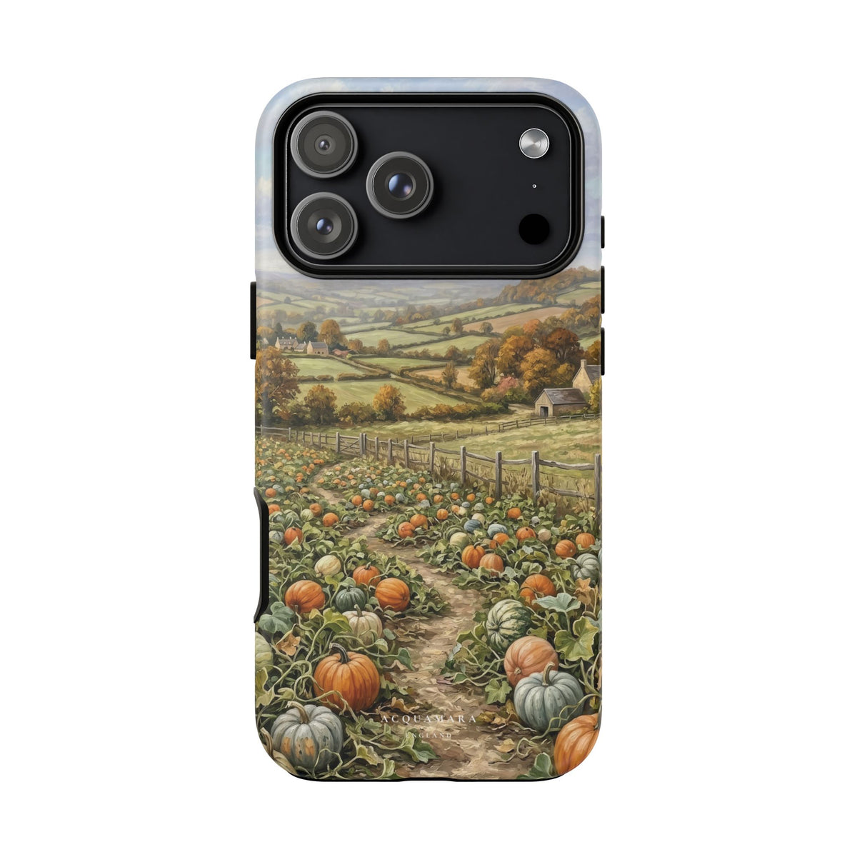 The Pumpkin Field