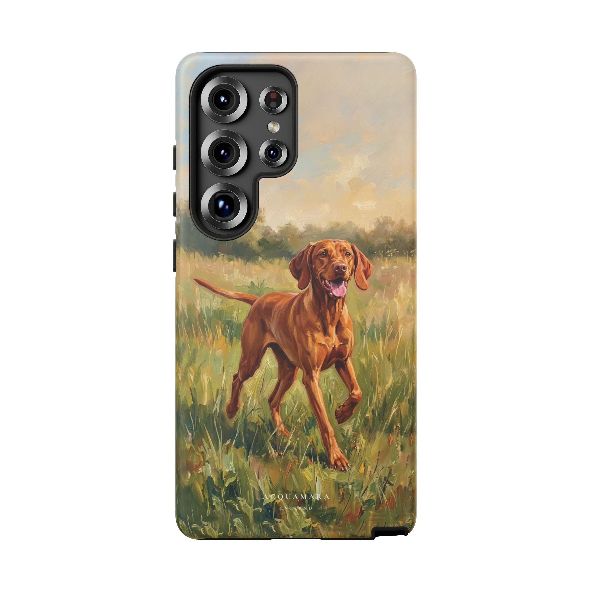 The Hungarian Vizsla