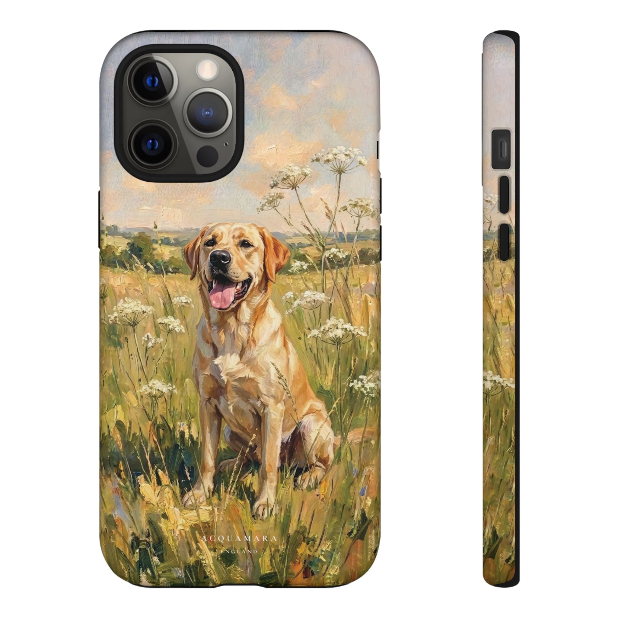 The Labrador (Yellow)