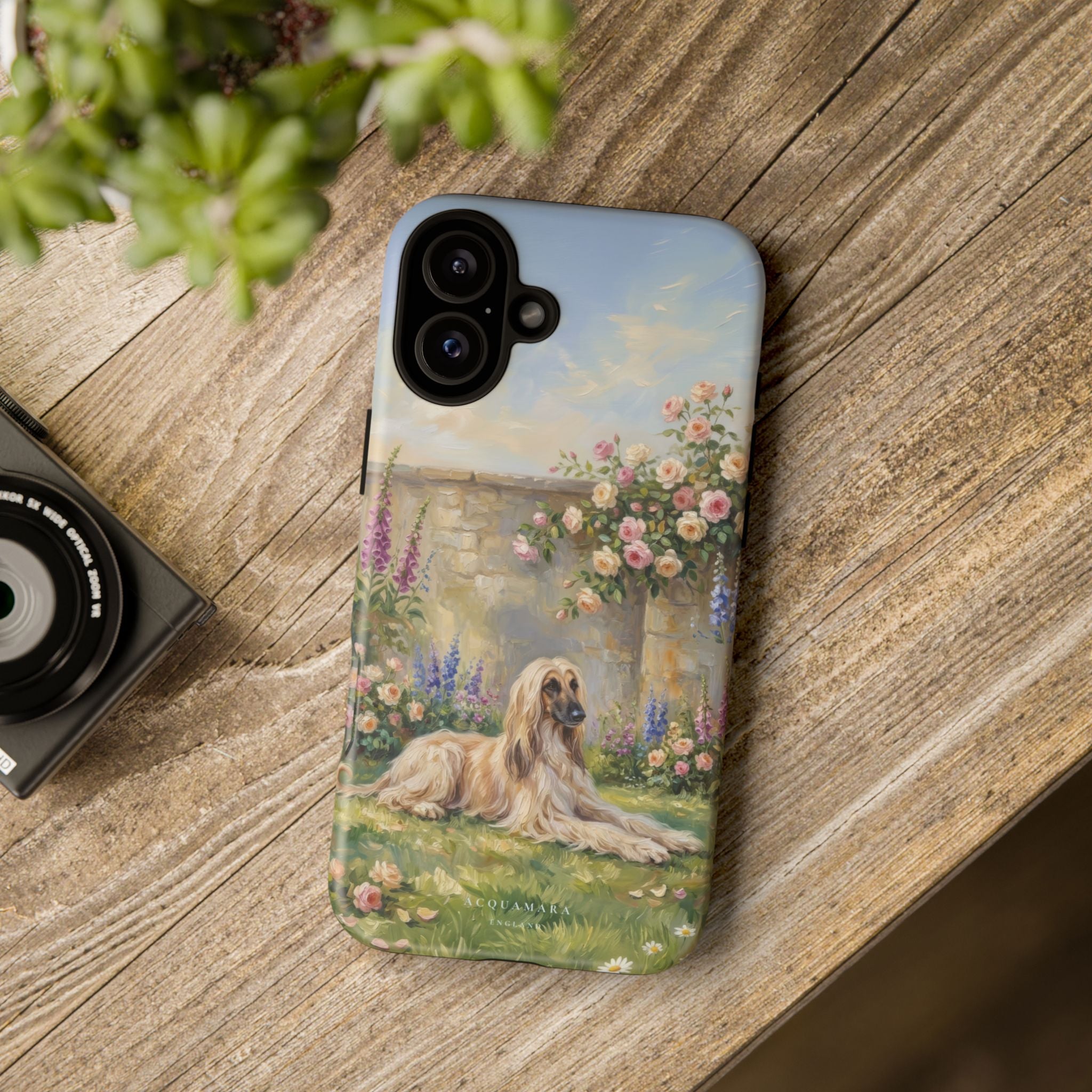 The Afghan Hound (Standard)