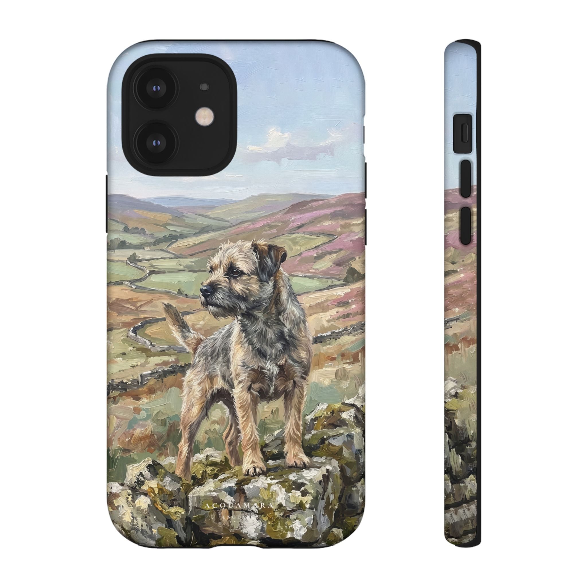 The Border Terrier (Grizzle and Tan)