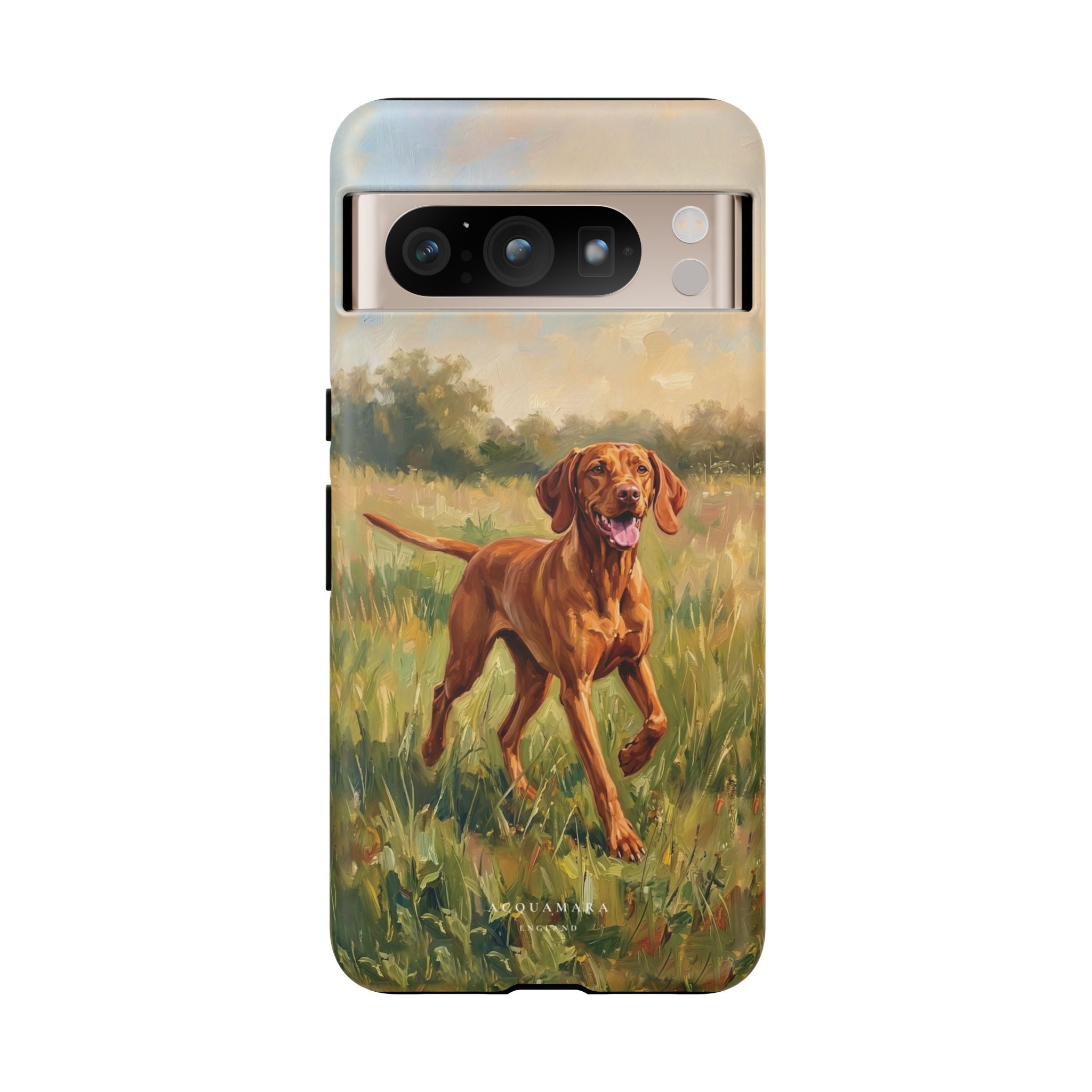 The Hungarian Vizsla