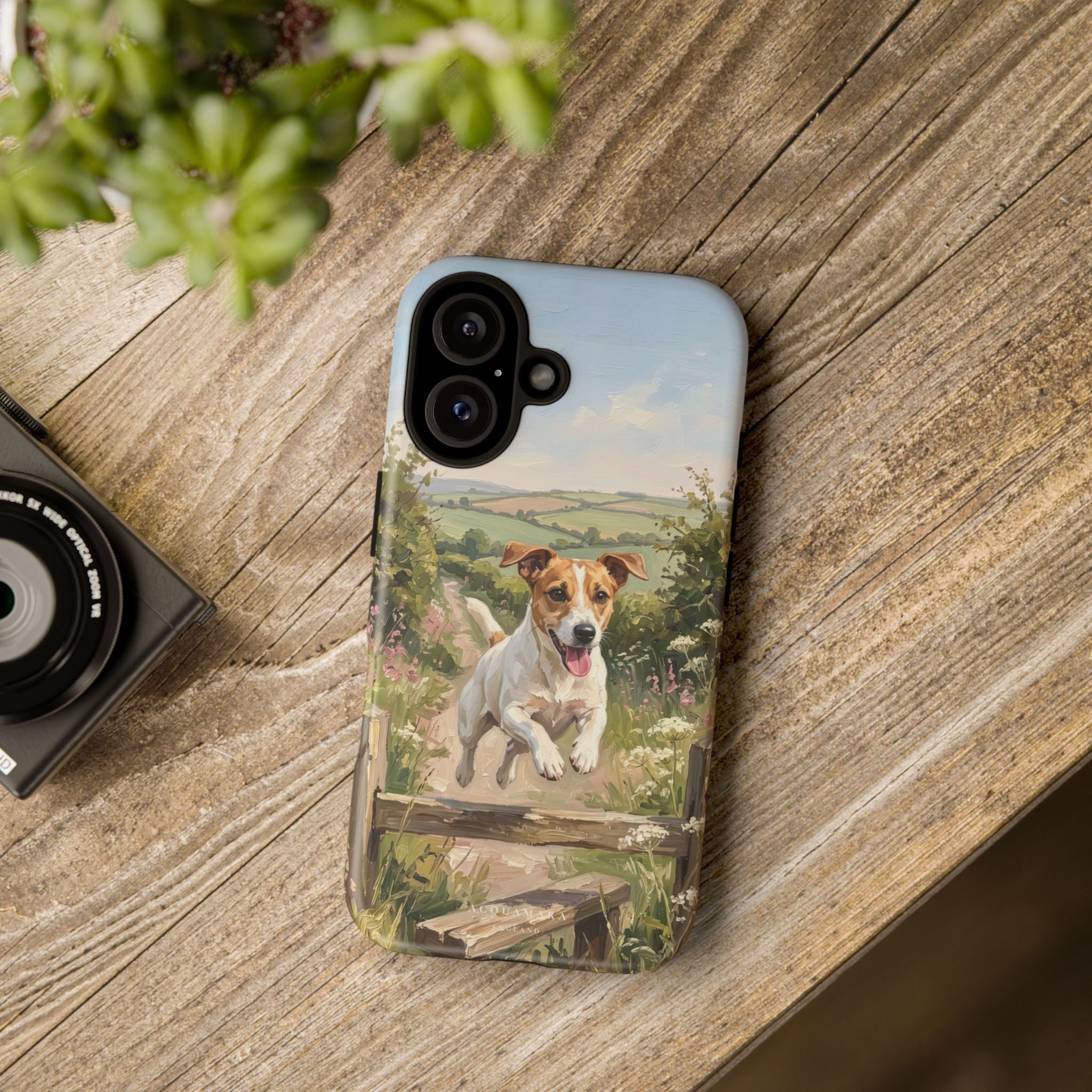The Jack Russell (White and Tan)