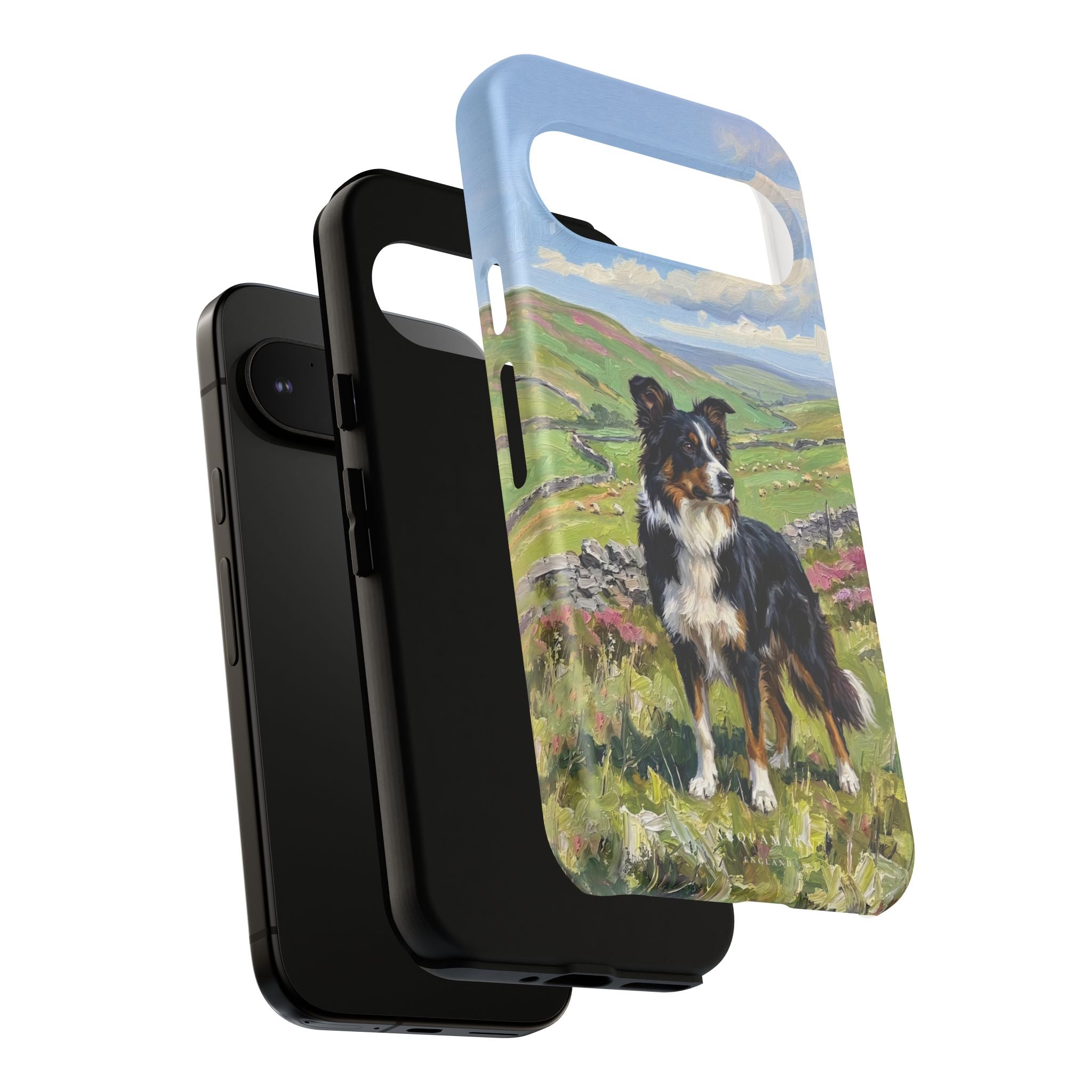 The Border Collie