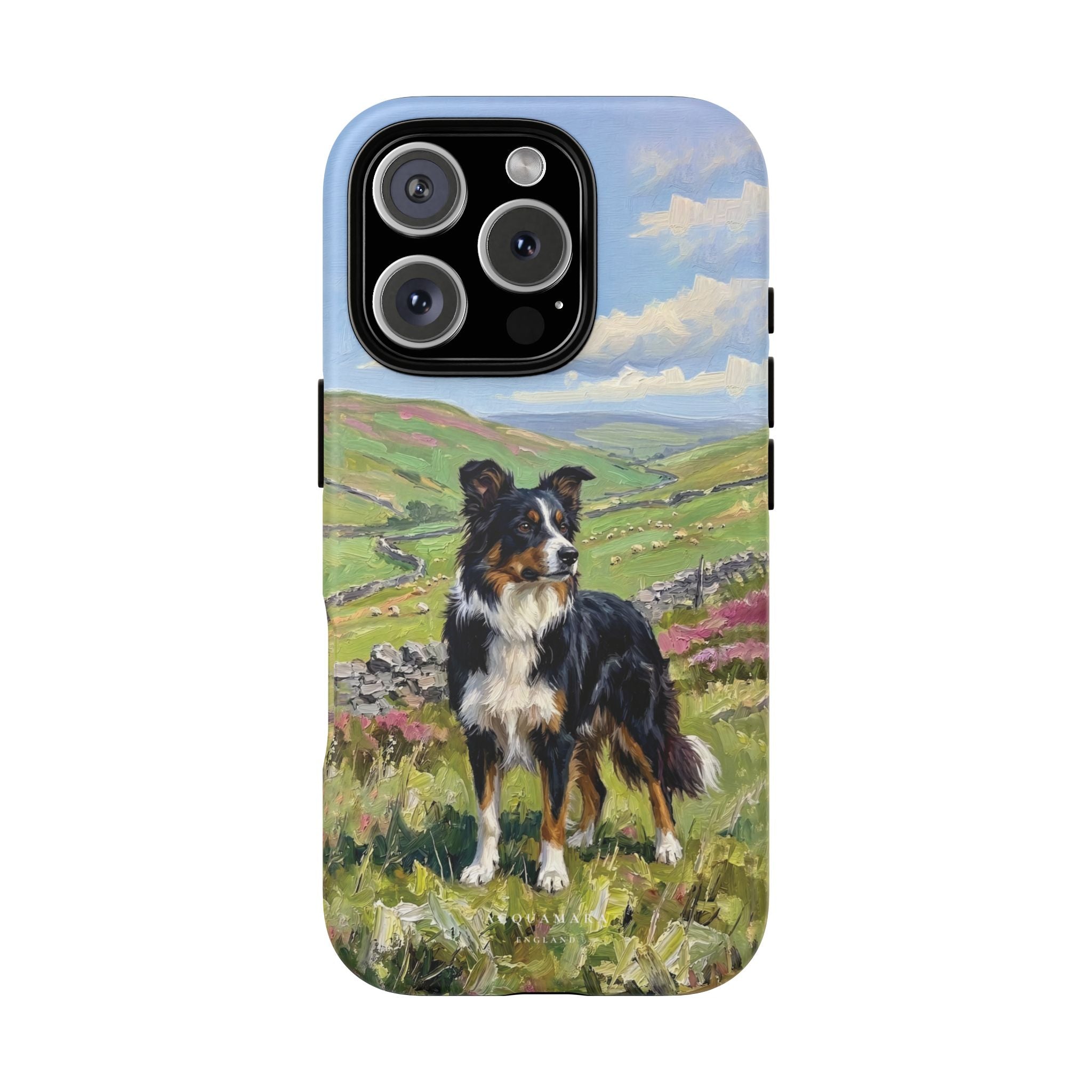 The Border Collie