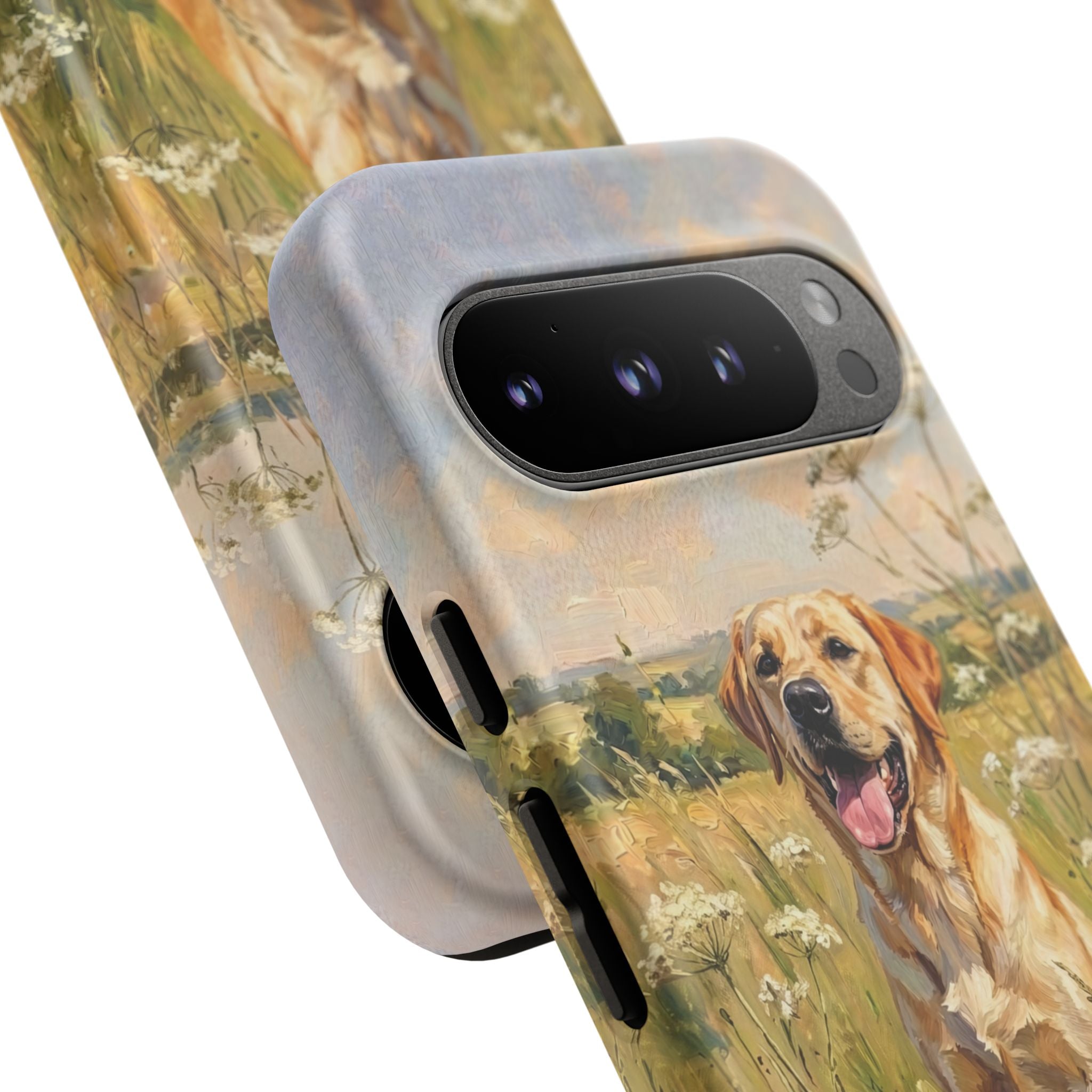 The Labrador (Yellow)