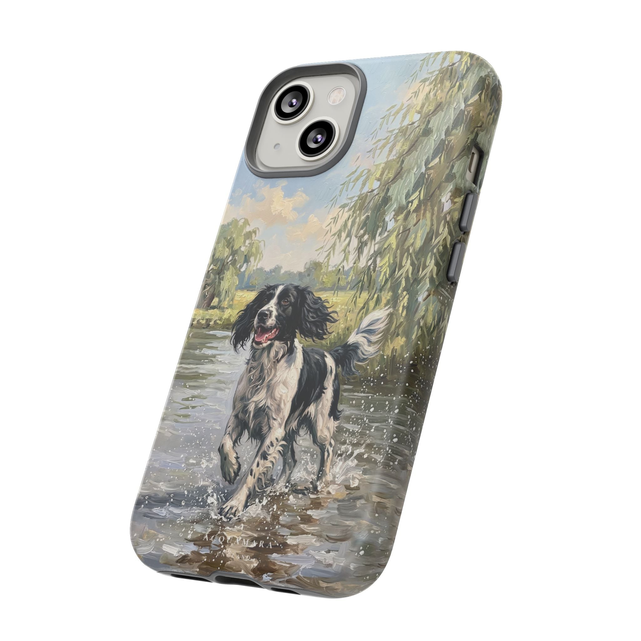 The Springer Spaniel (Black and White)