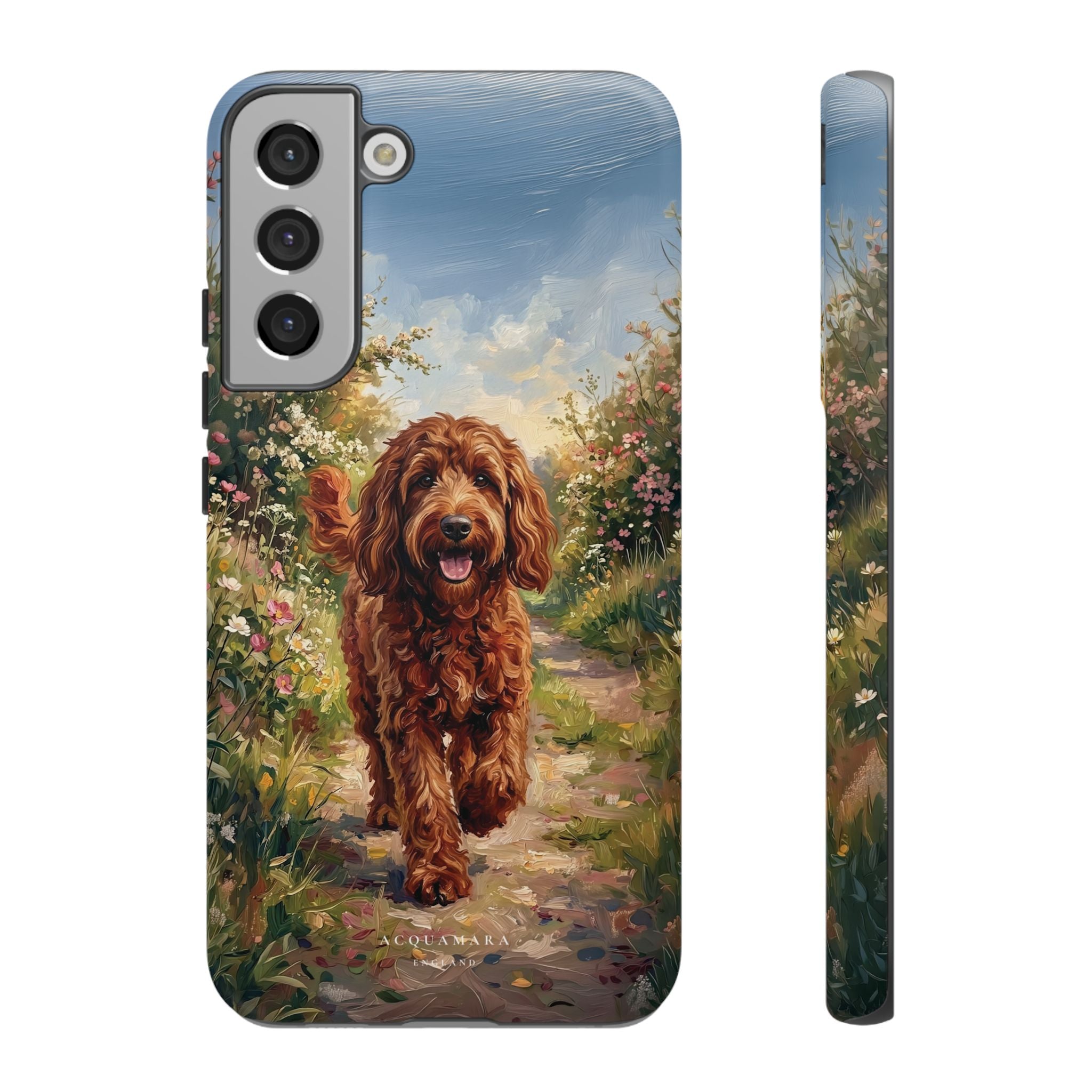 The Goldendoodle