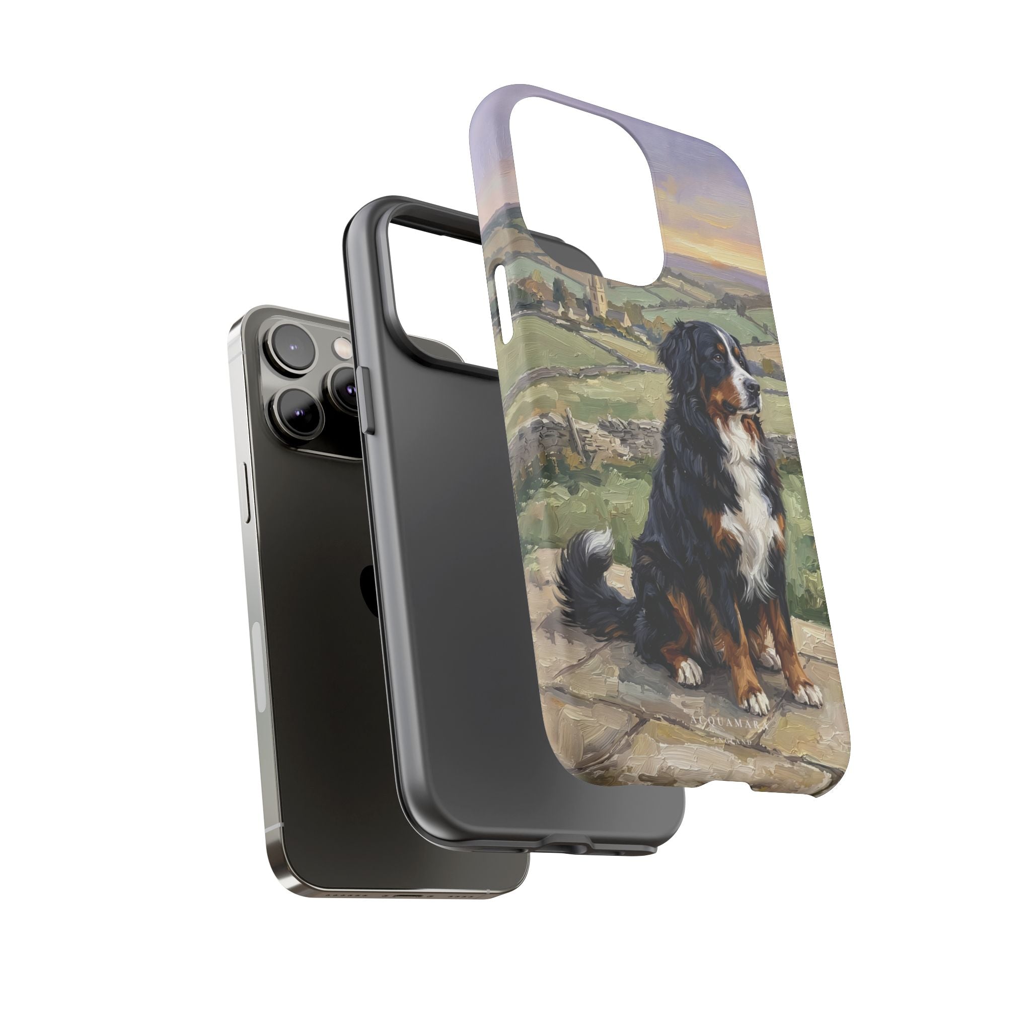 The Bernese Mountain Dog