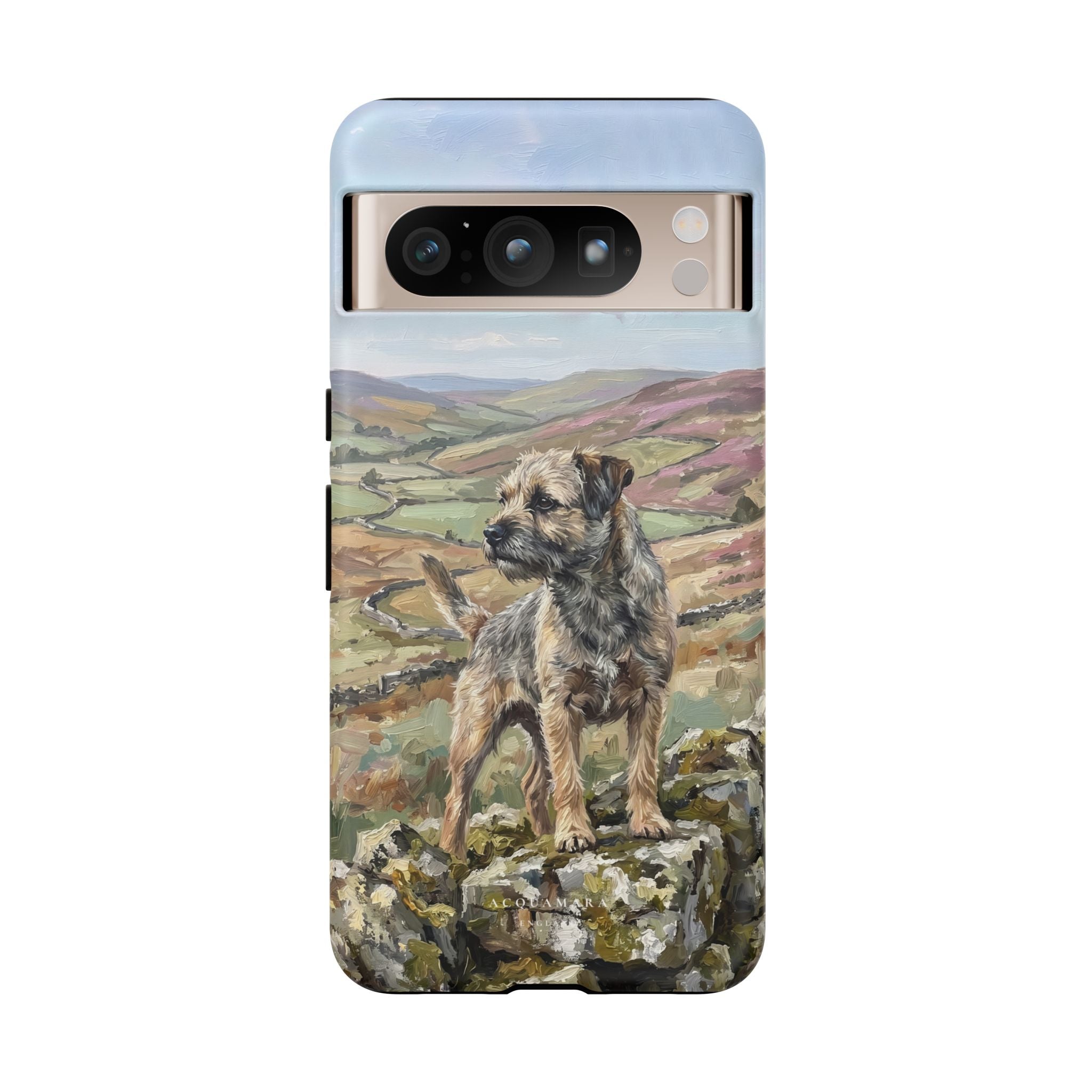 The Border Terrier (Grizzle and Tan)
