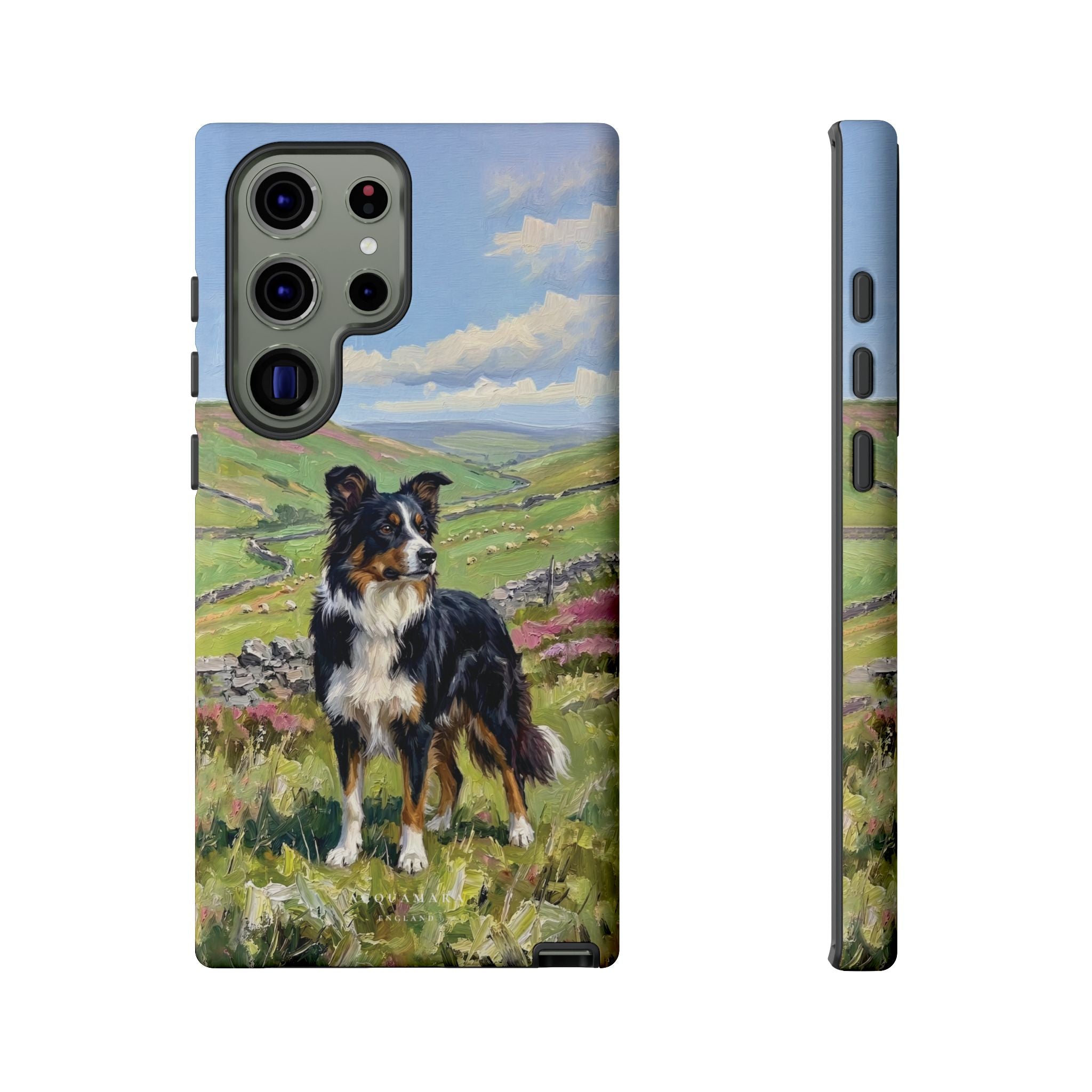 The Border Collie