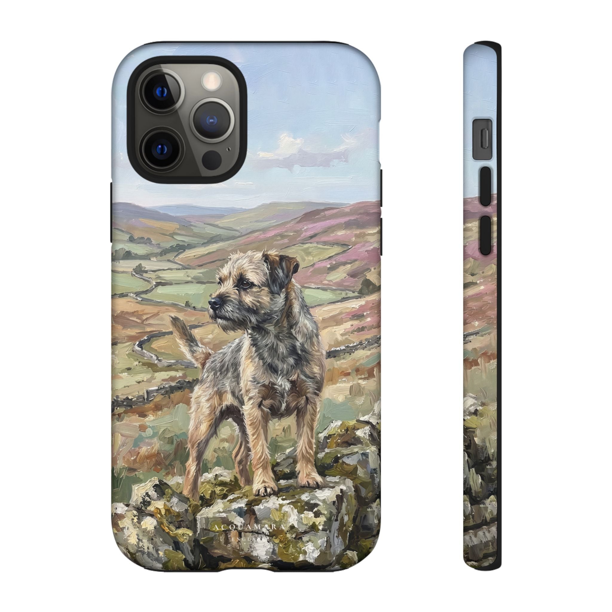 The Border Terrier (Grizzle and Tan)